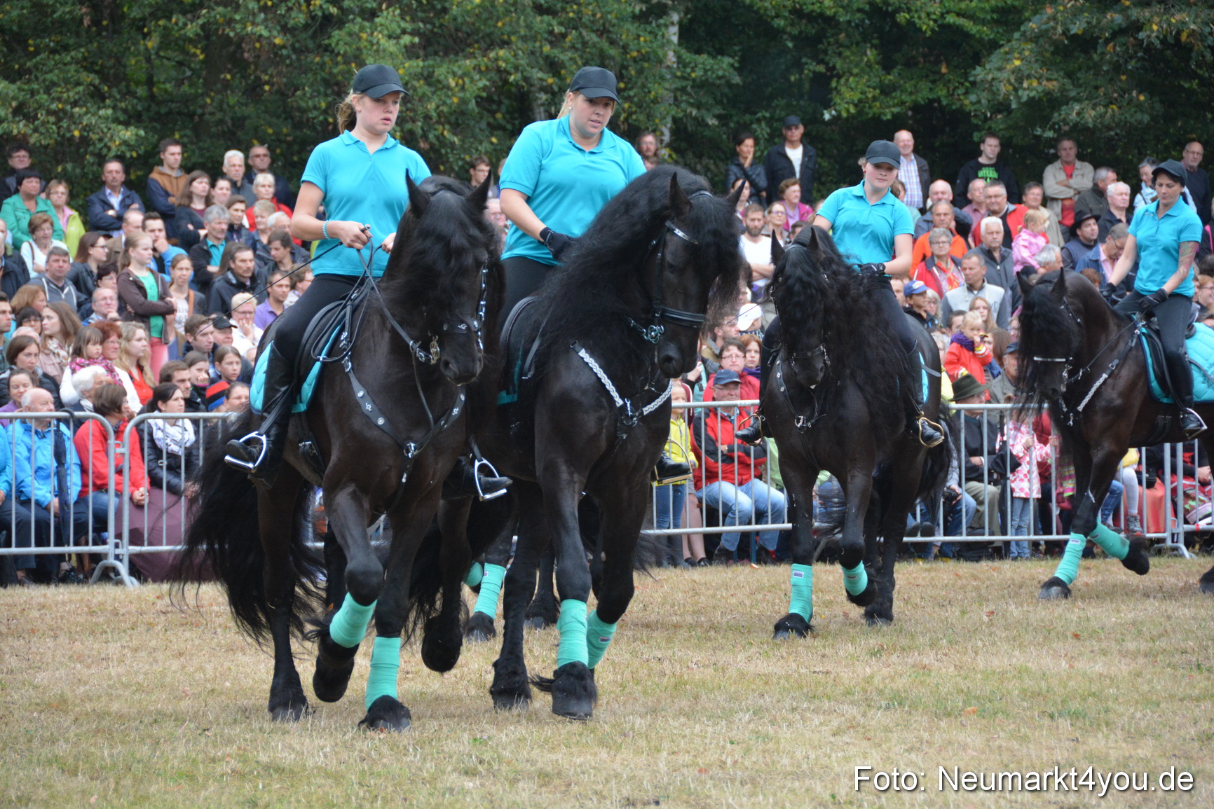 Pferde und Fohlenschau 170815 0086