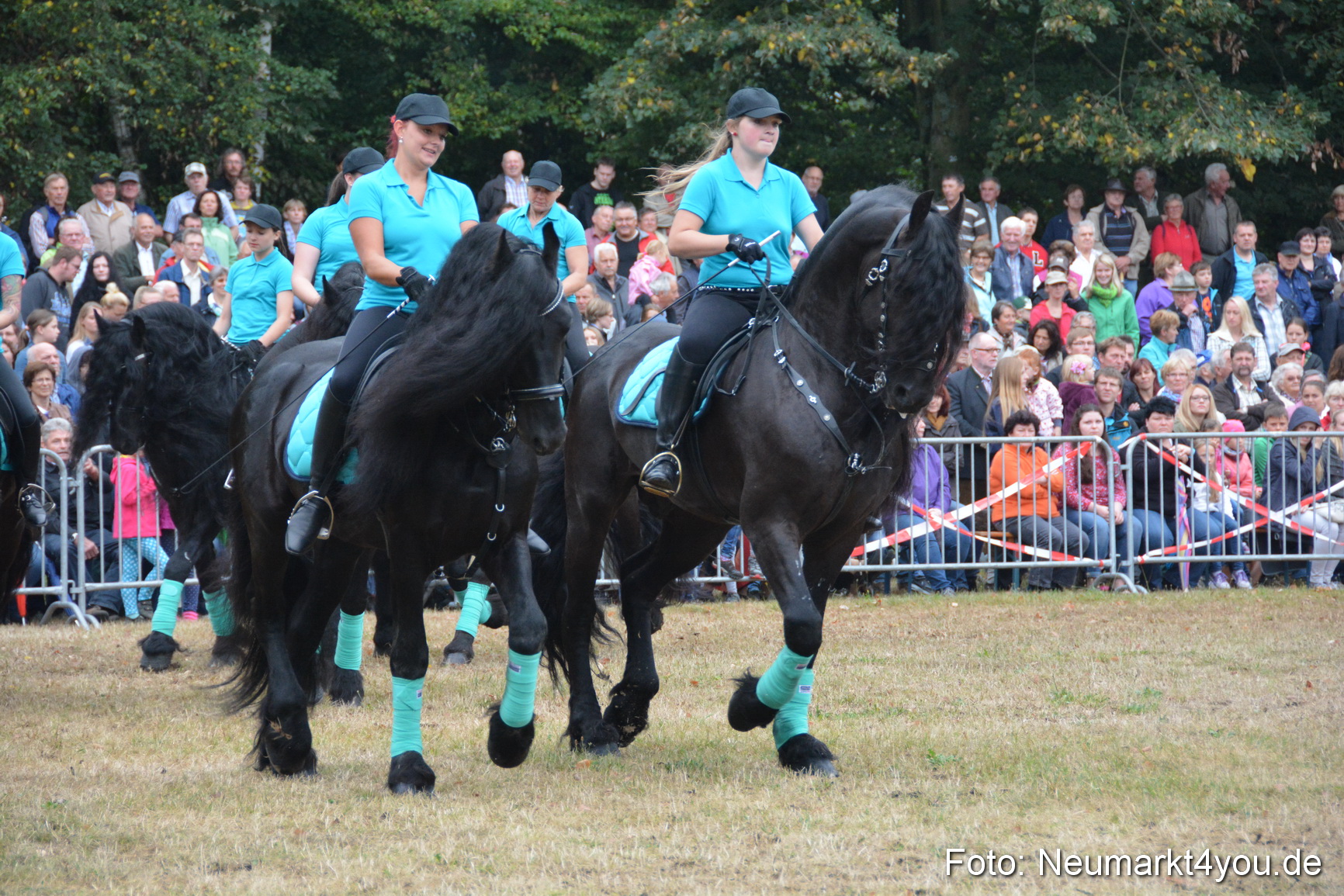 Pferde und Fohlenschau 170815 0087