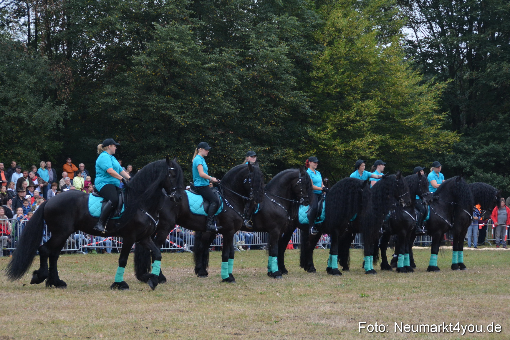 Pferde und Fohlenschau 170815 0088