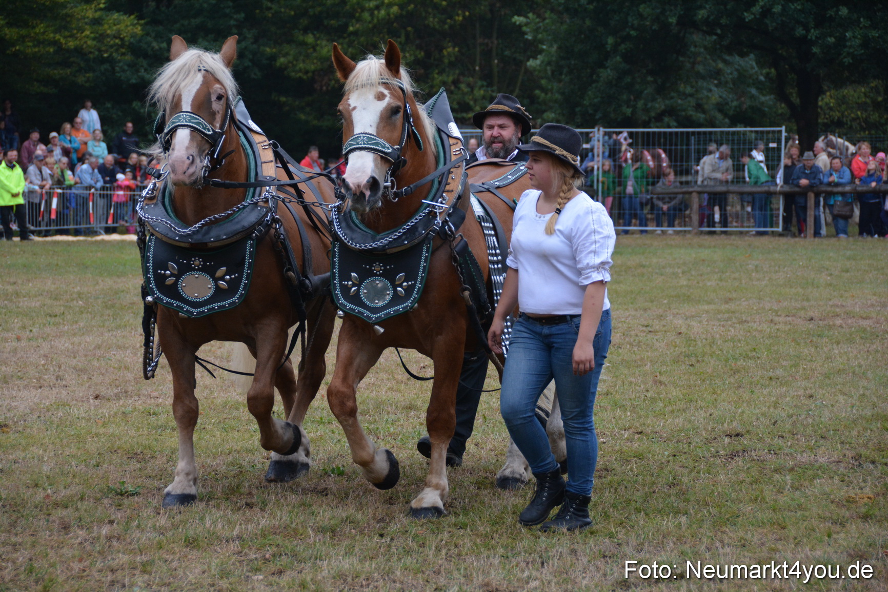 Pferde und Fohlenschau 170815 0096