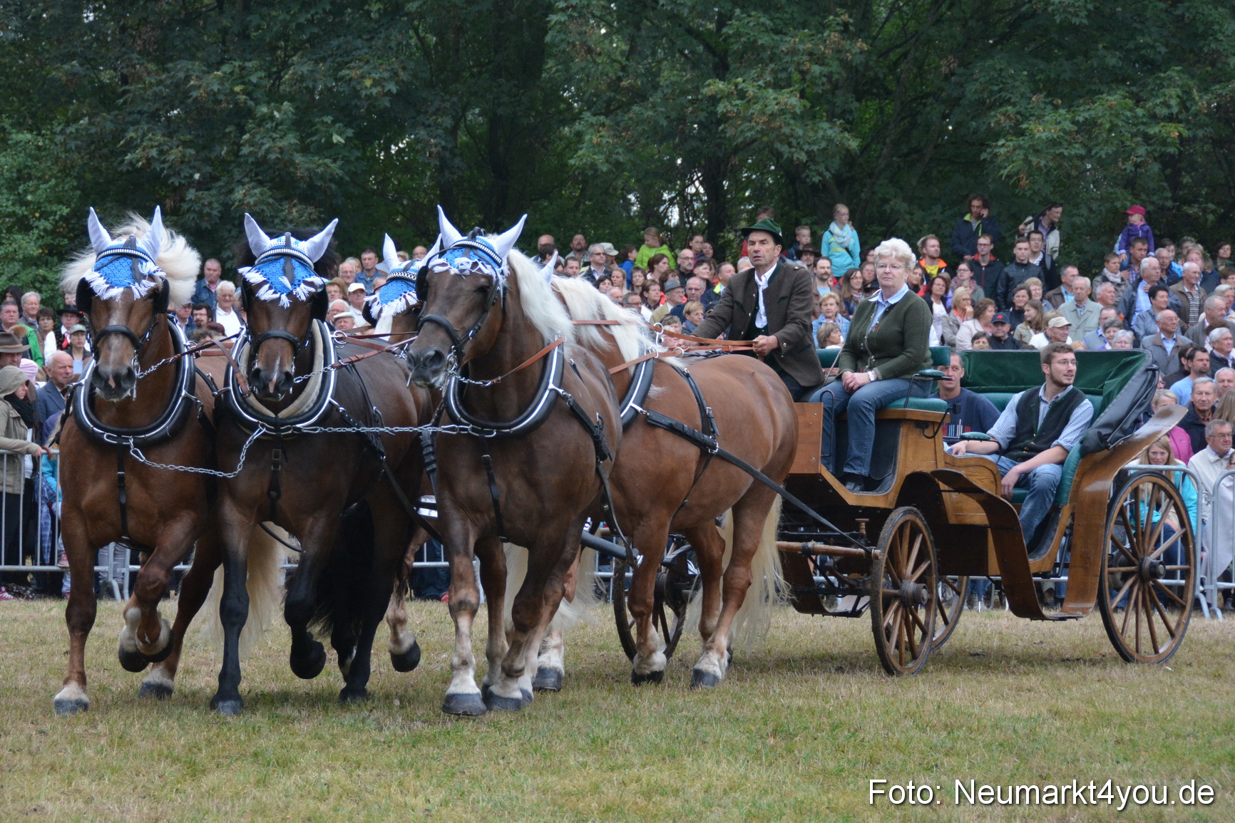 Pferde und Fohlenschau 170815 0158
