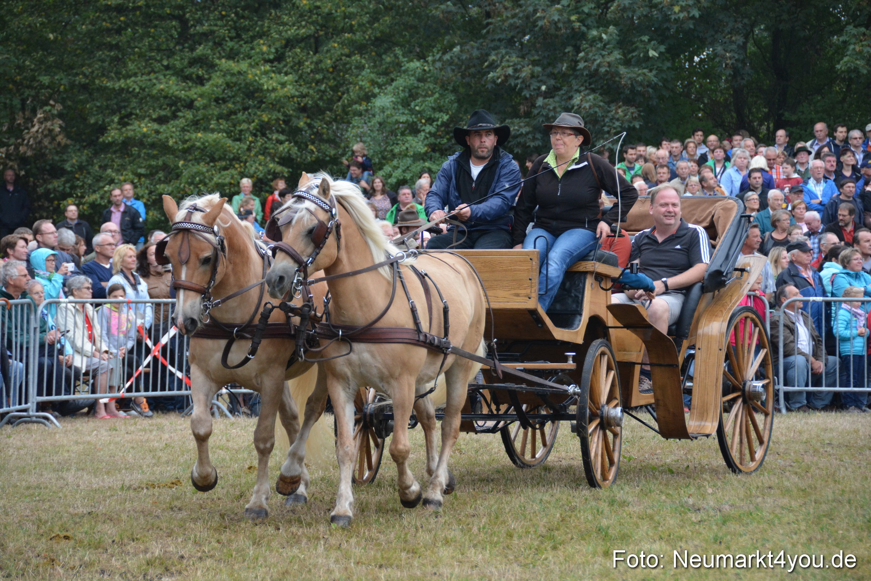 Pferde und Fohlenschau 170815 0164