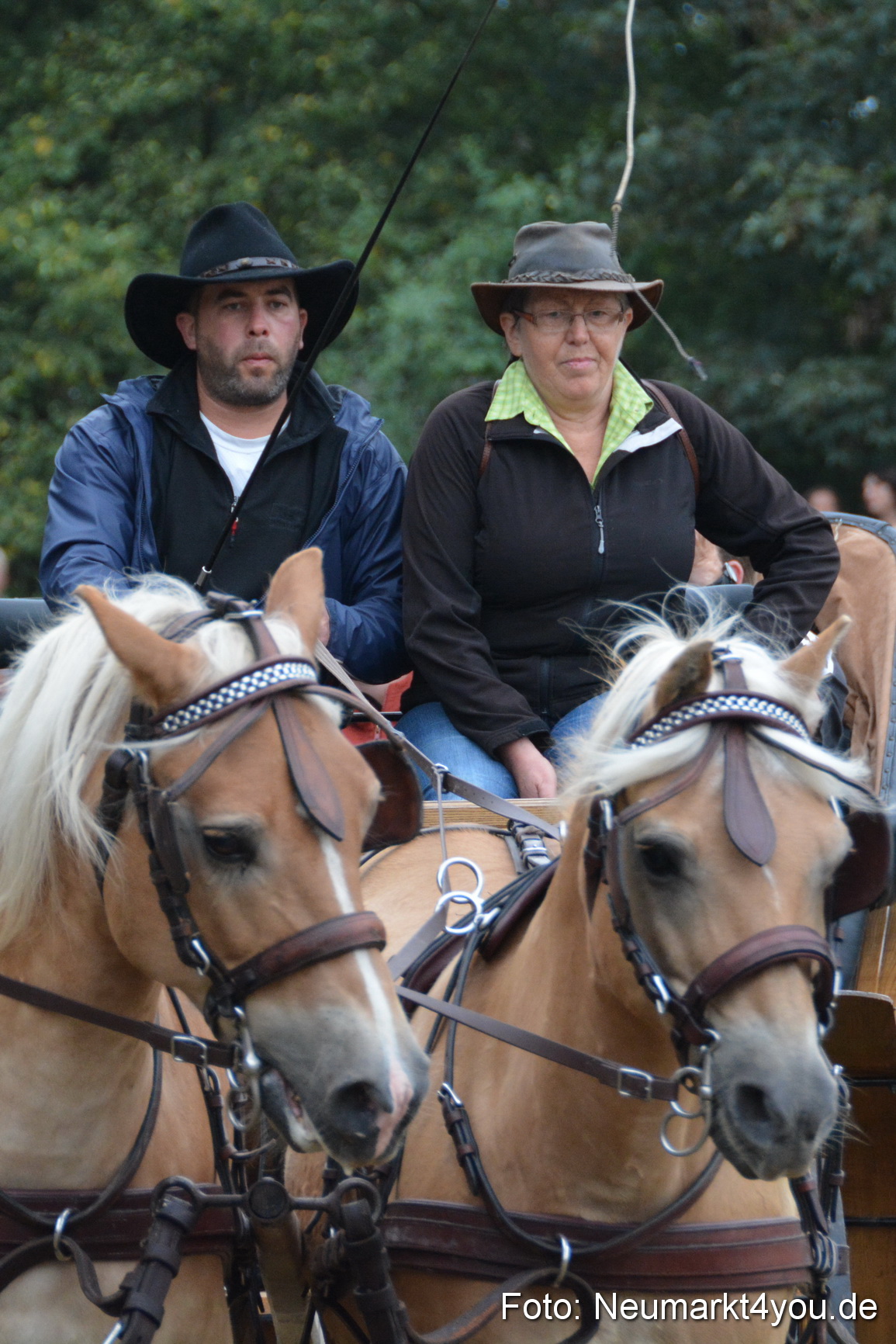 Pferde und Fohlenschau 170815 0169