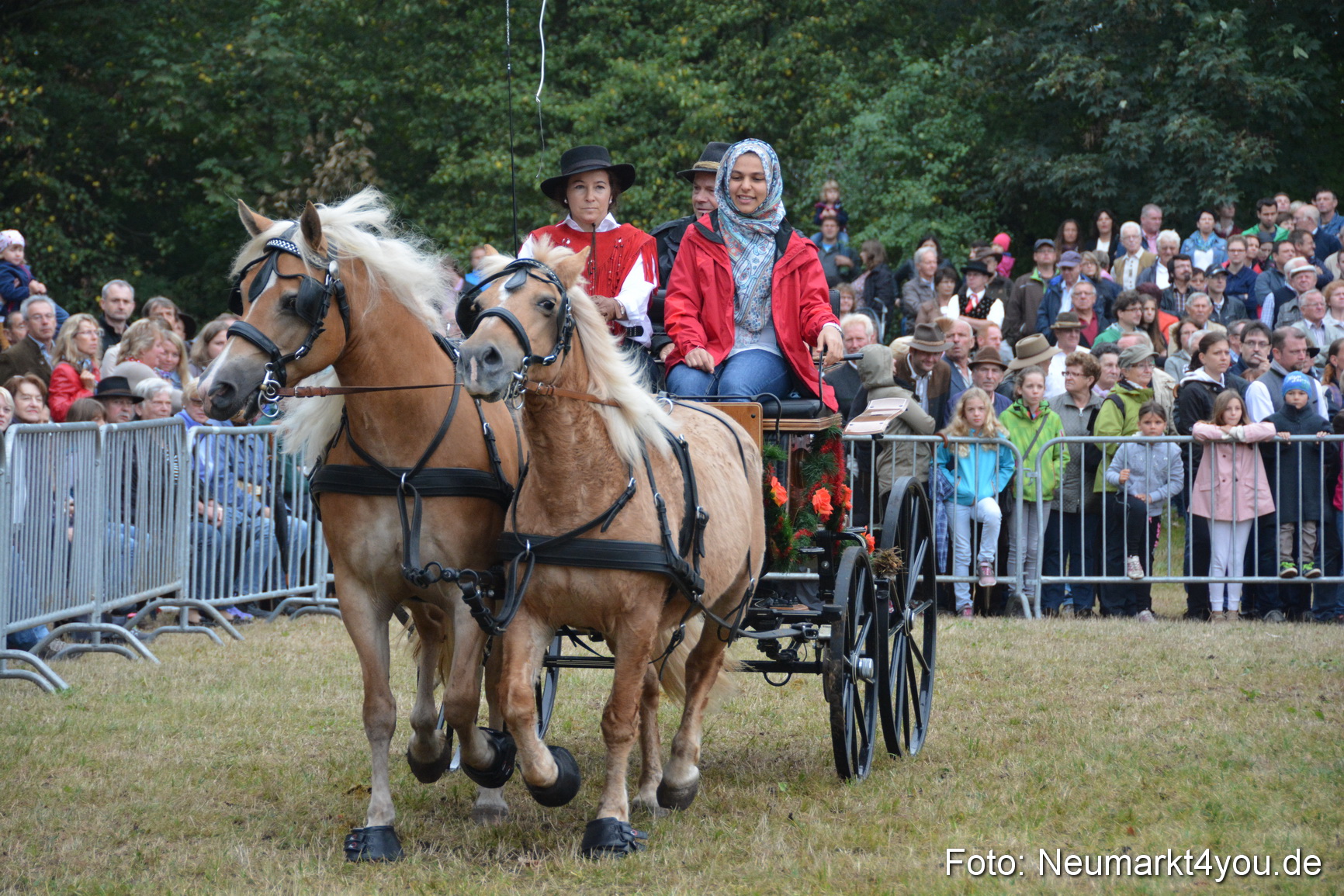 Pferde und Fohlenschau 170815 0172