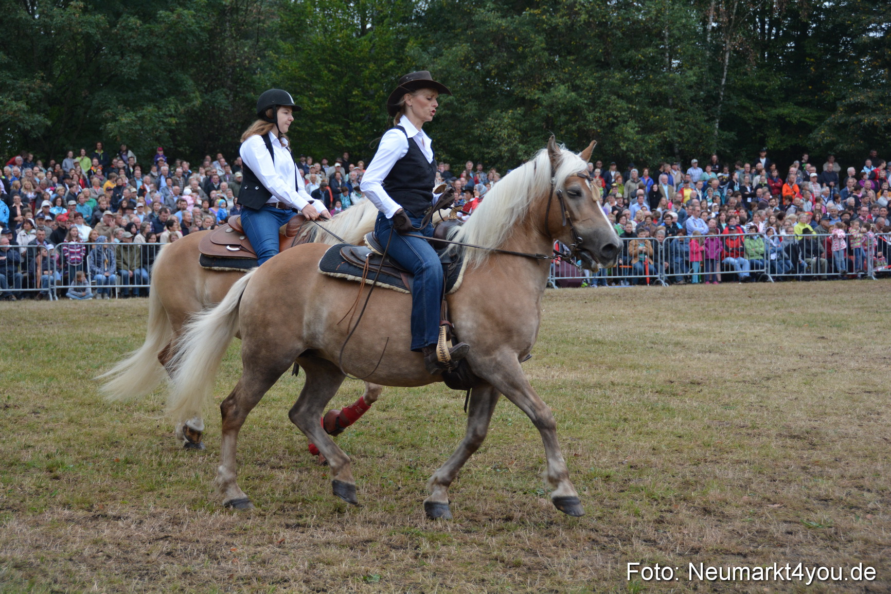 Pferde und Fohlenschau 170815 0173