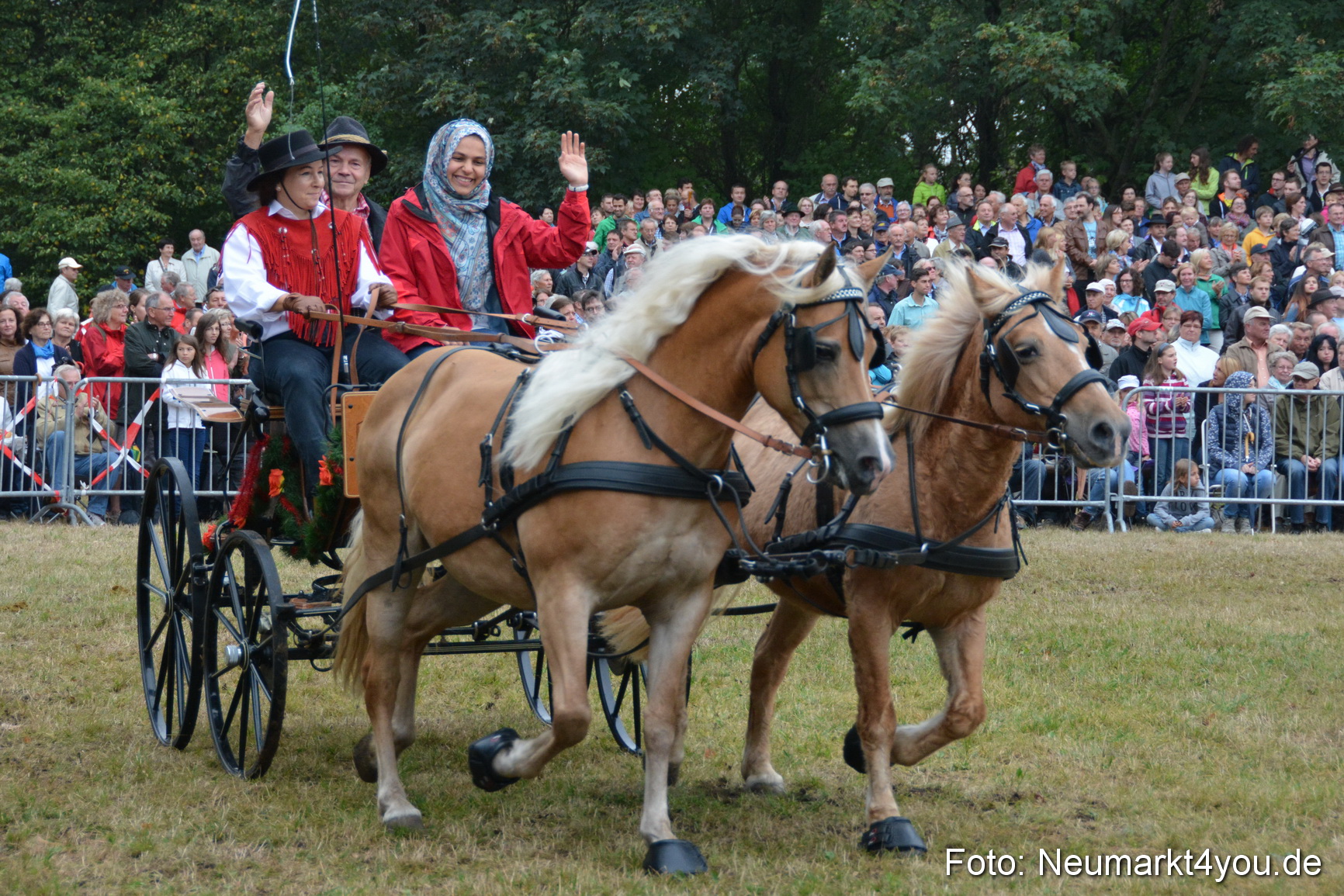 Pferde und Fohlenschau 170815 0176