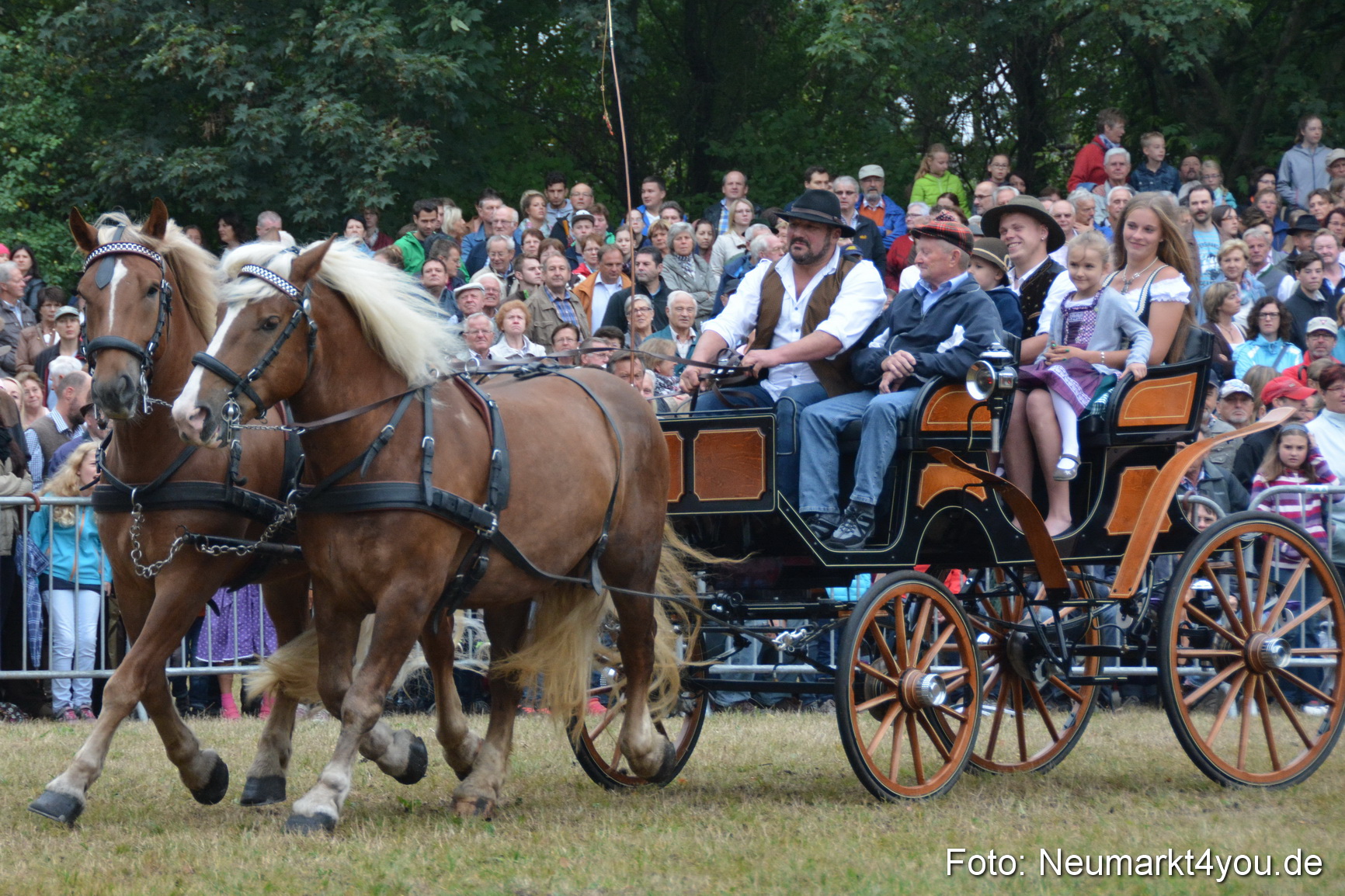 Pferde und Fohlenschau 170815 0177