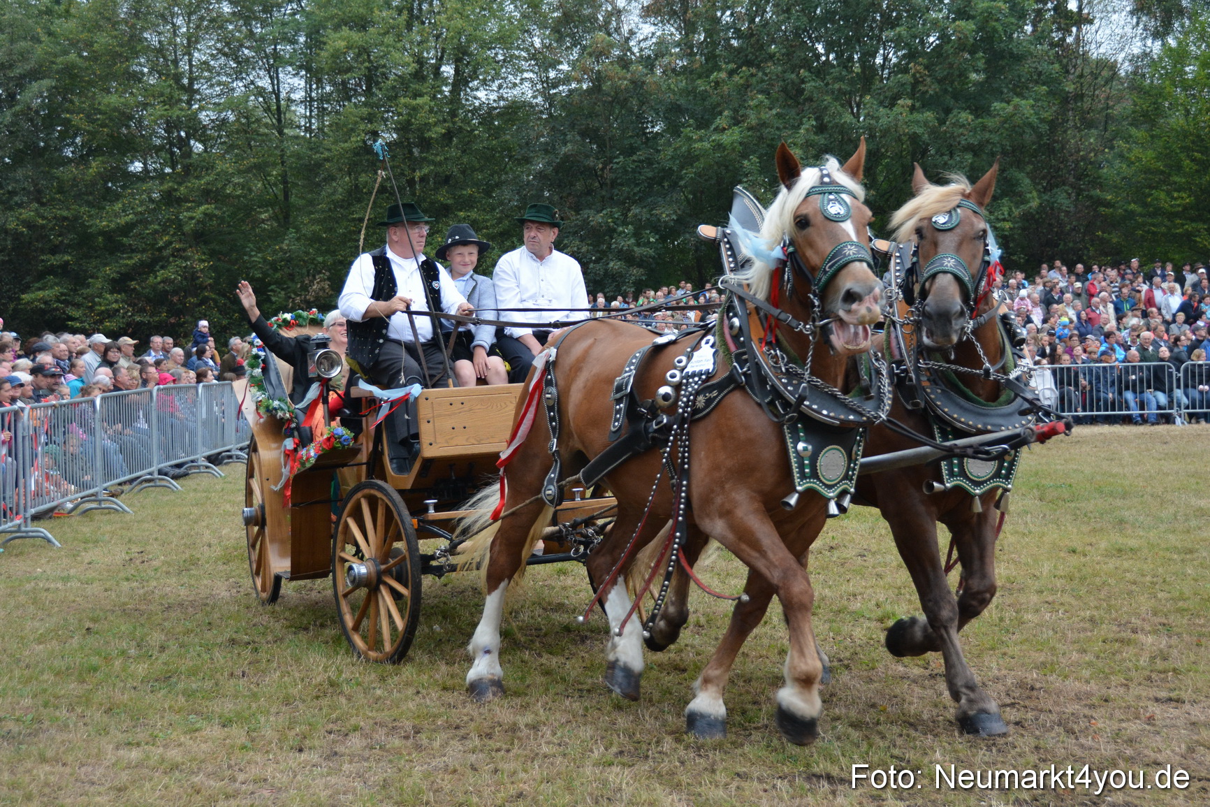 Pferde und Fohlenschau 170815 0178