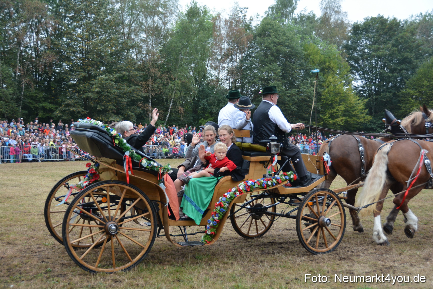 Pferde und Fohlenschau 170815 0179