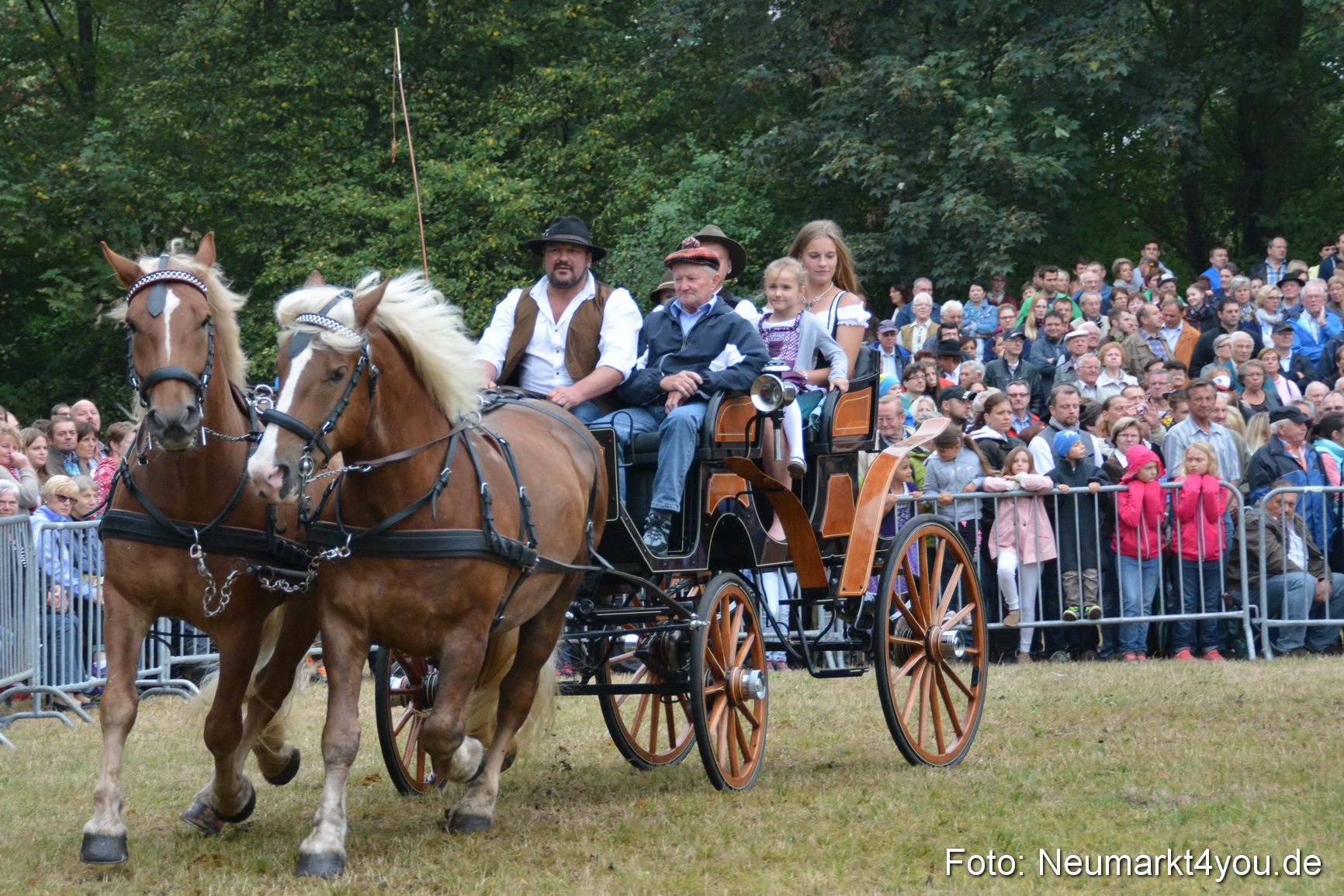 Pferde und Fohlenschau 170815 0181