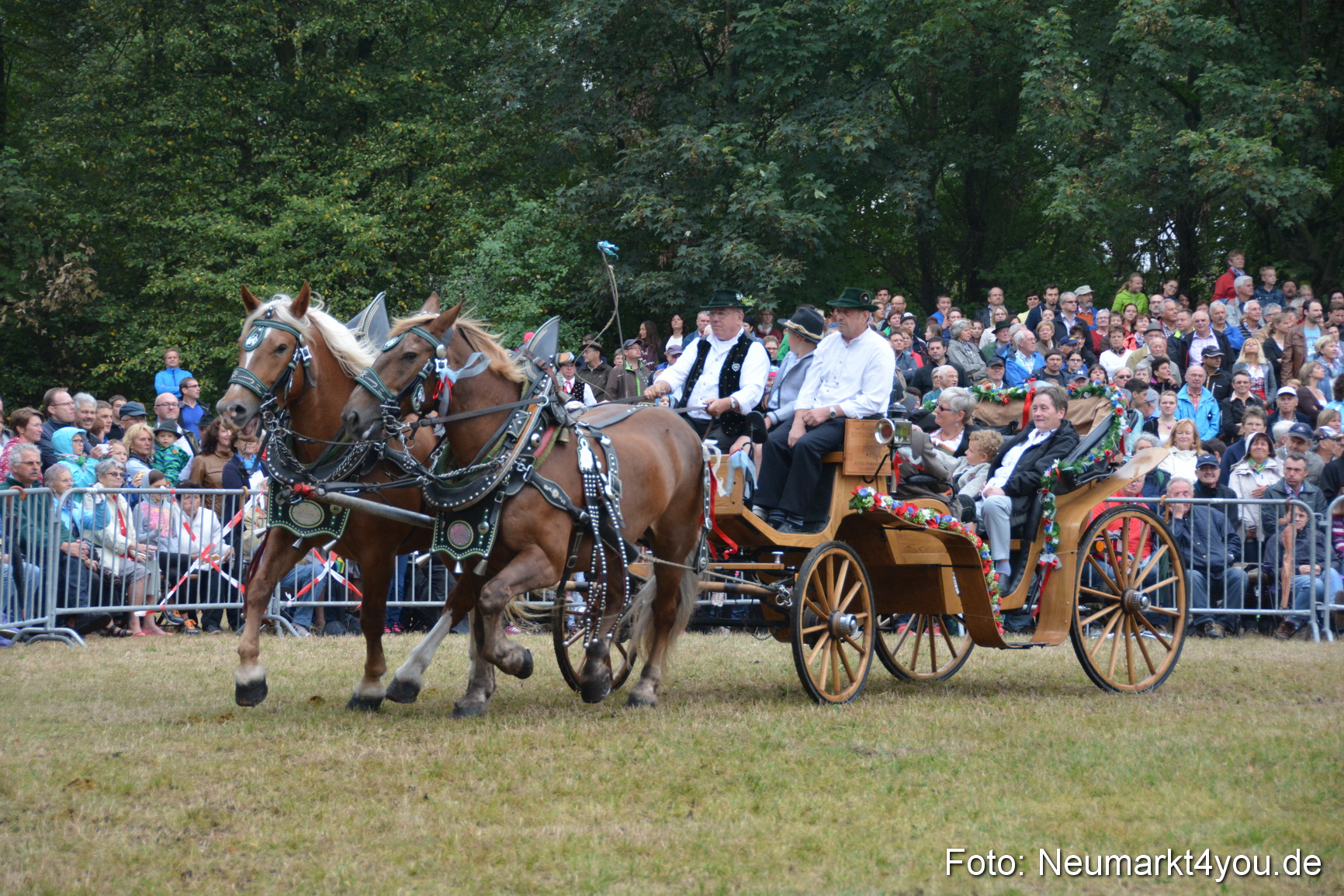 Pferde und Fohlenschau 170815 0182