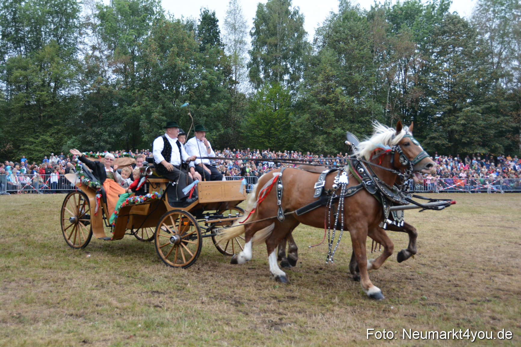 Pferde und Fohlenschau 170815 0183