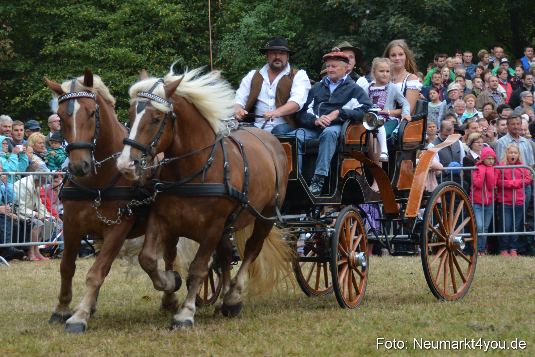 Pferde und Fohlenschau 170815 0185