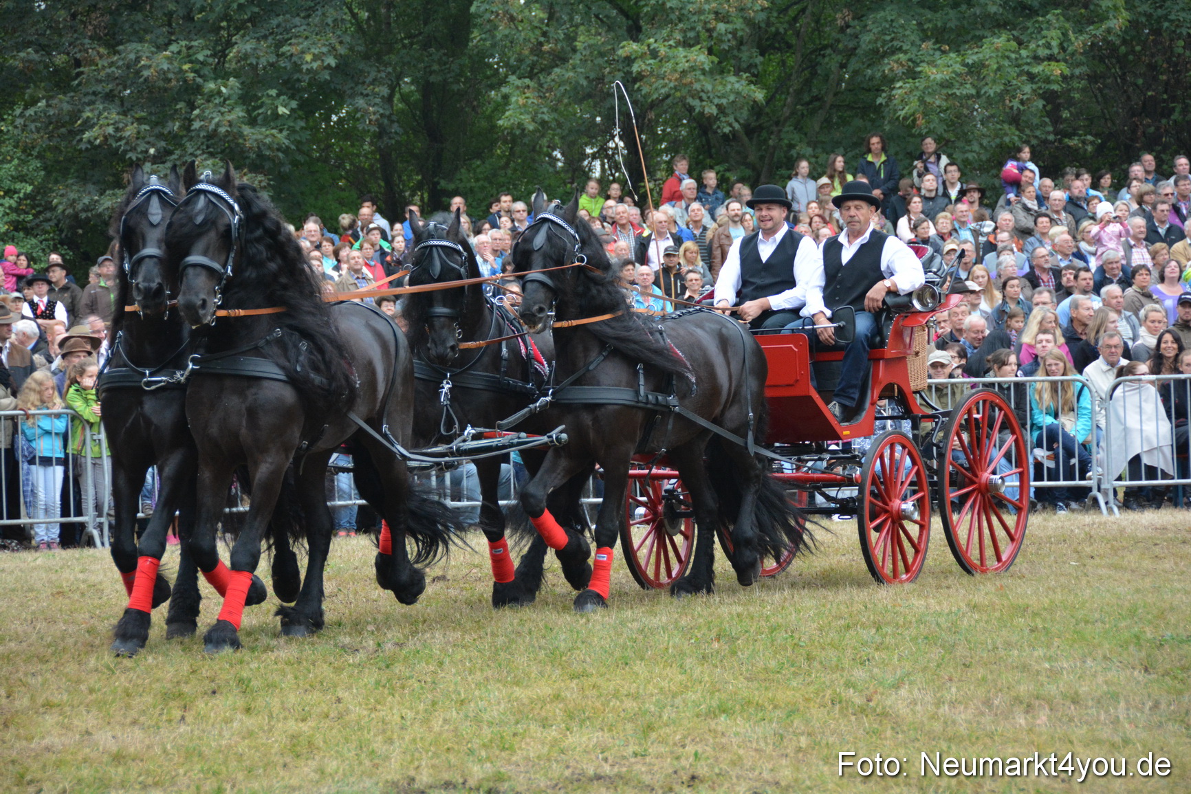 Pferde und Fohlenschau 170815 0188