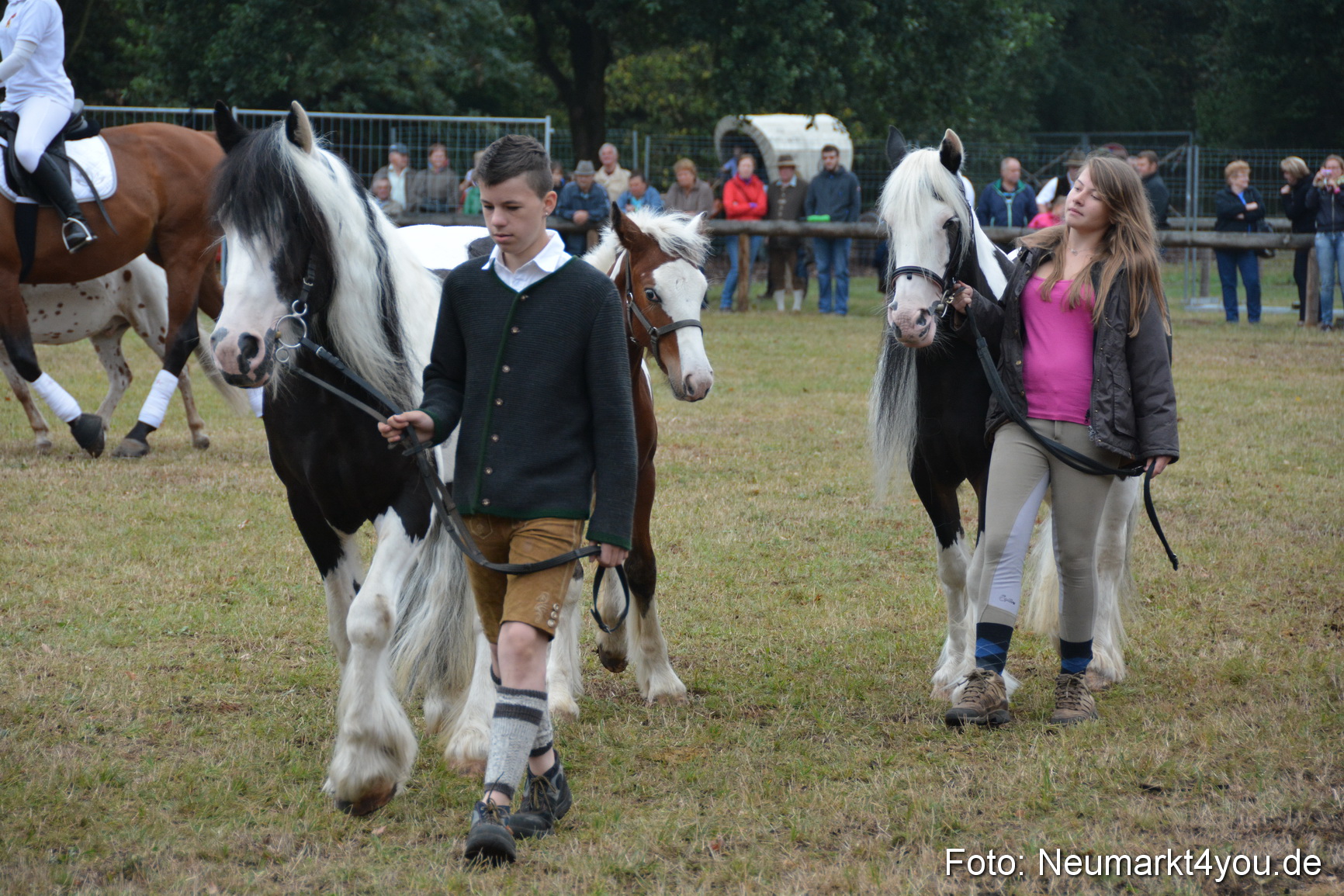 Pferde und Fohlenschau 170815 0210