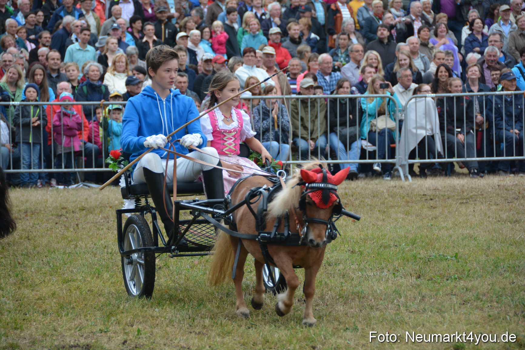 Pferde und Fohlenschau 170815 0216