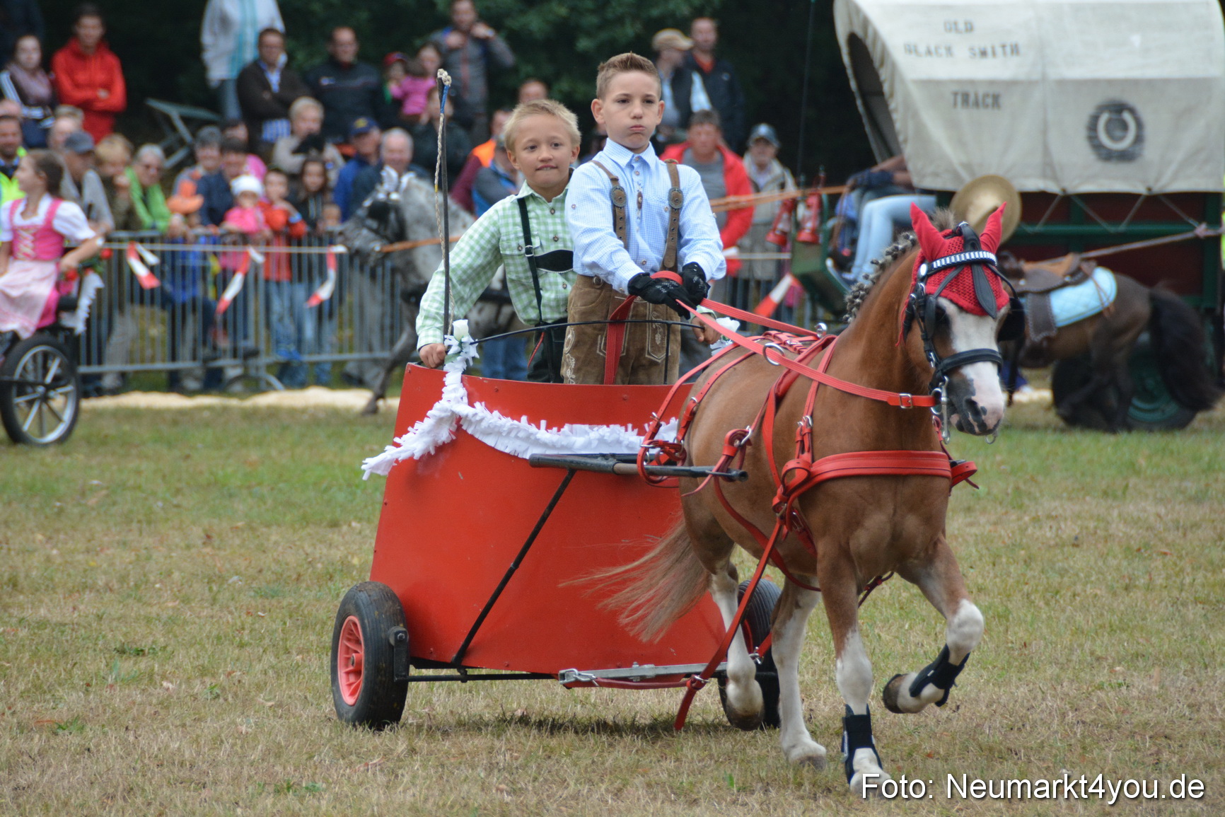Pferde und Fohlenschau 170815 0220