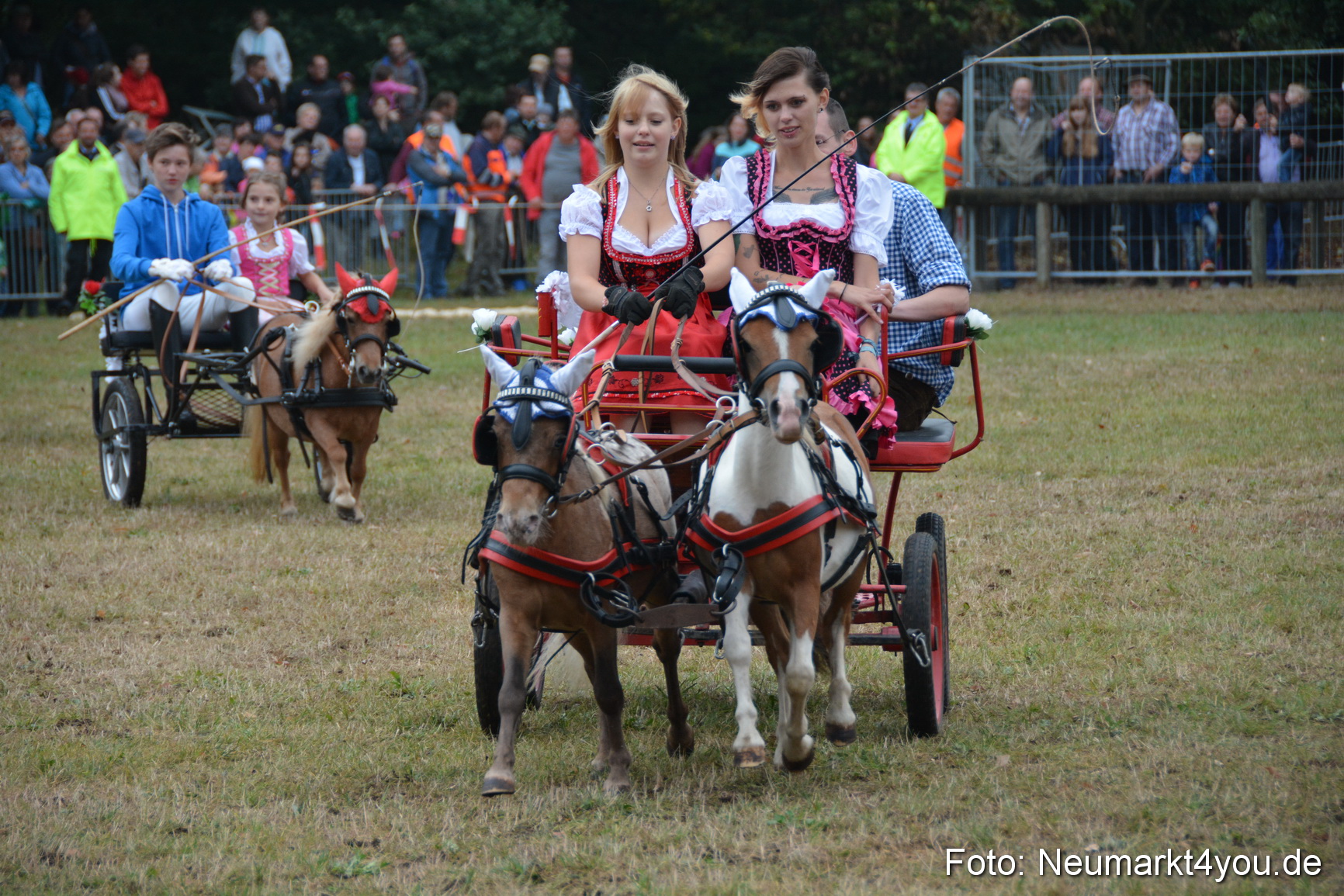 Pferde und Fohlenschau 170815 0221