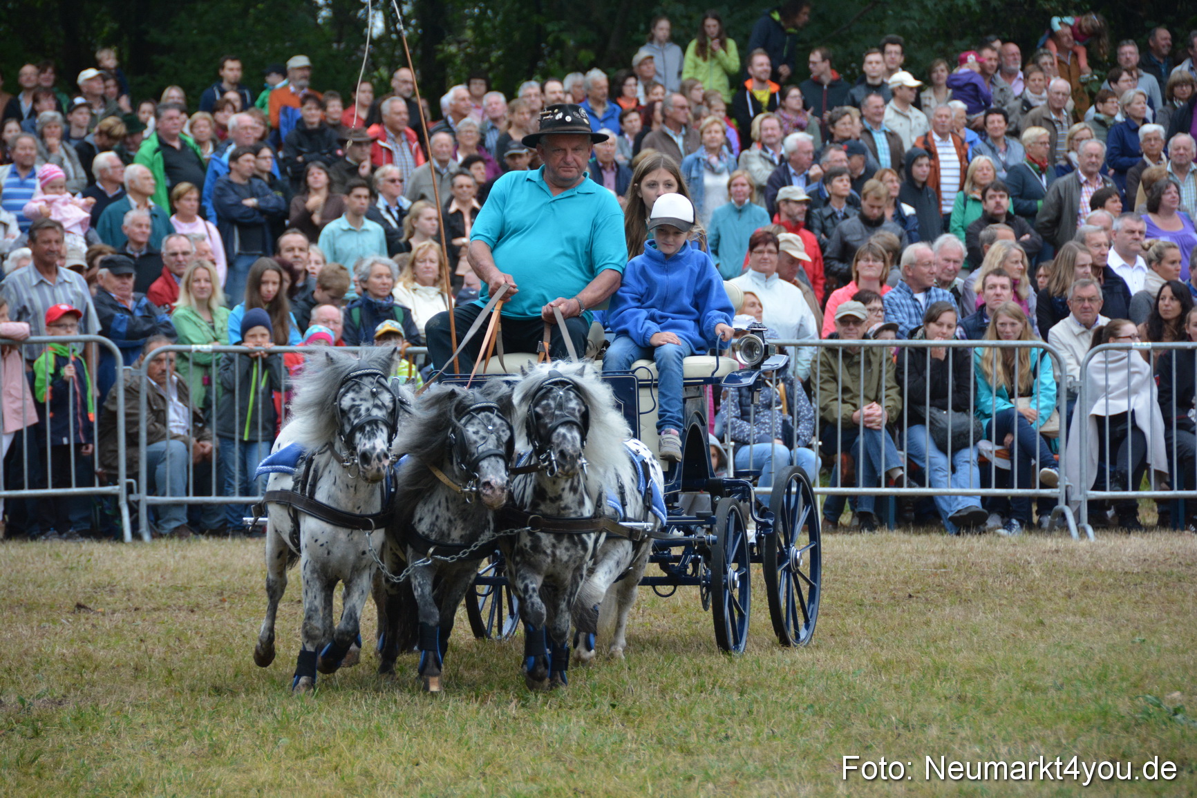 Pferde und Fohlenschau 170815 0240