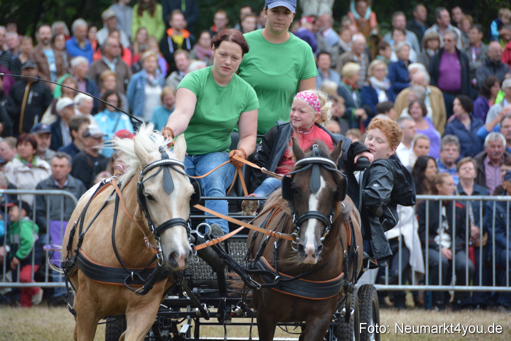 Pferde und Fohlenschau 170815 0241