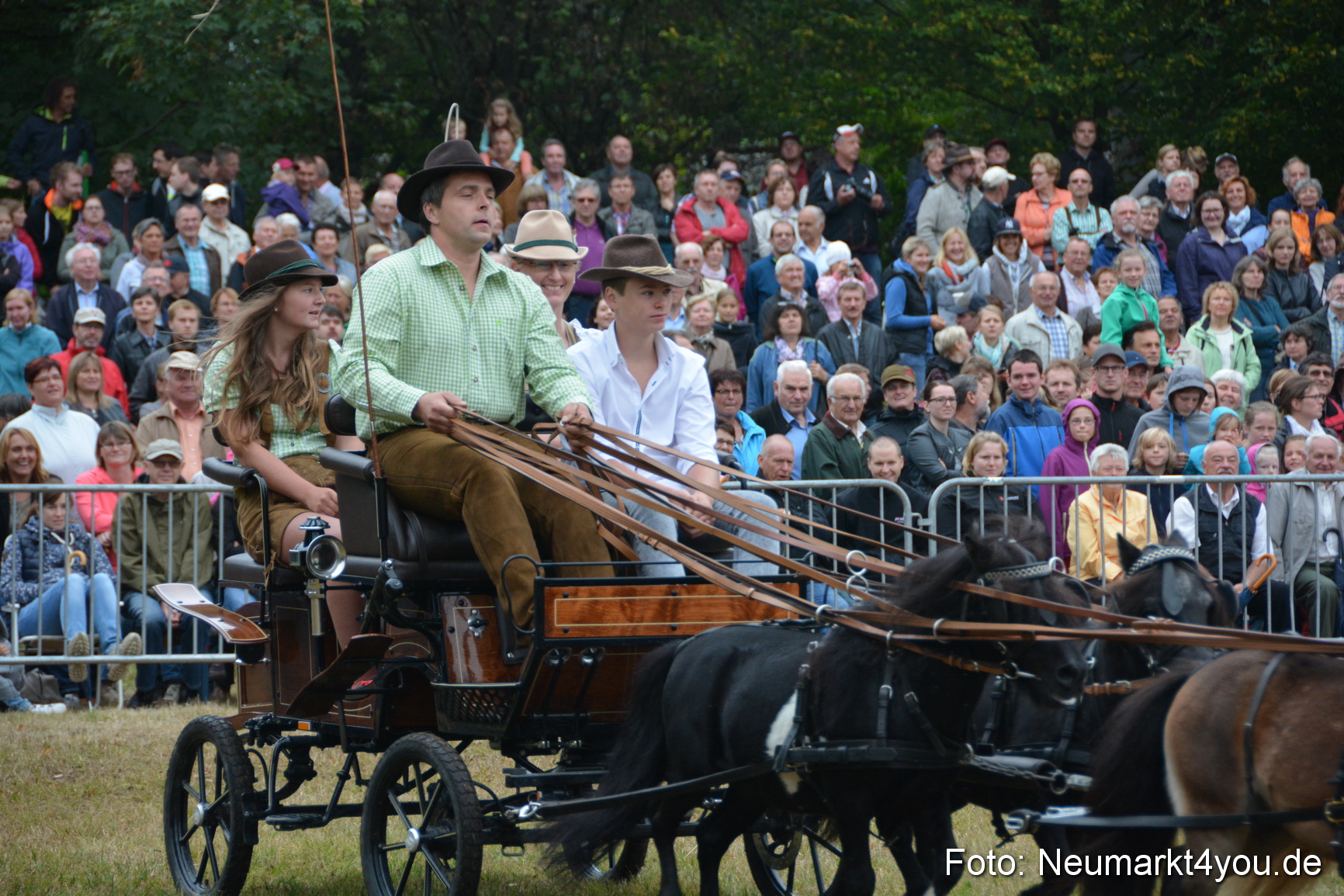 Pferde und Fohlenschau 170815 0246