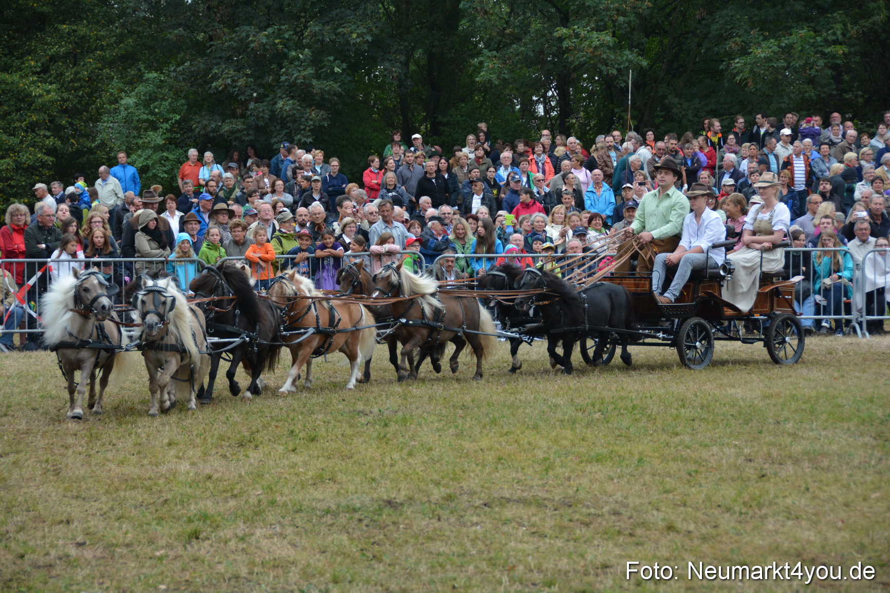 Pferde und Fohlenschau 170815 0247