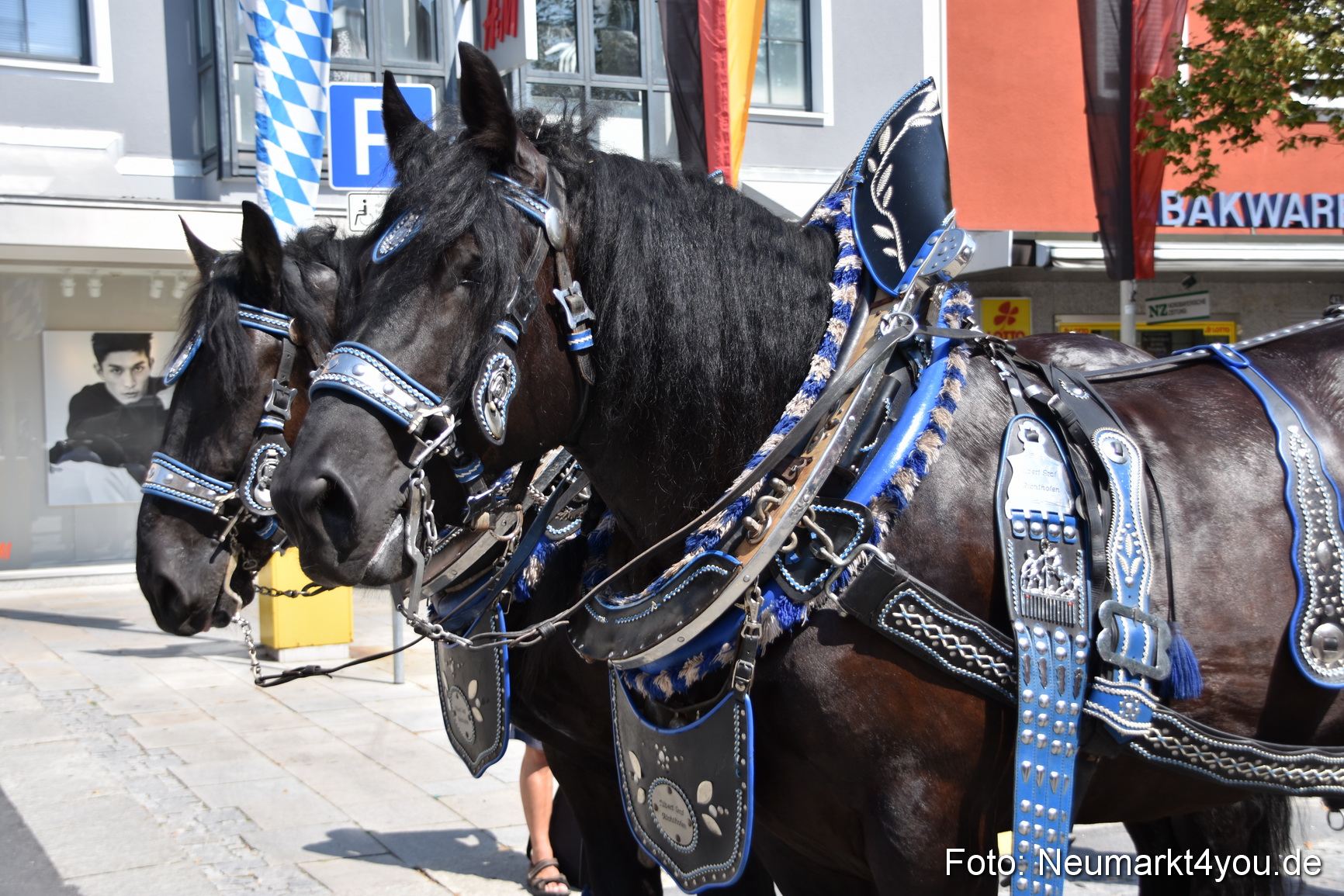 Volksfestzug Neumarkt 2015 0280