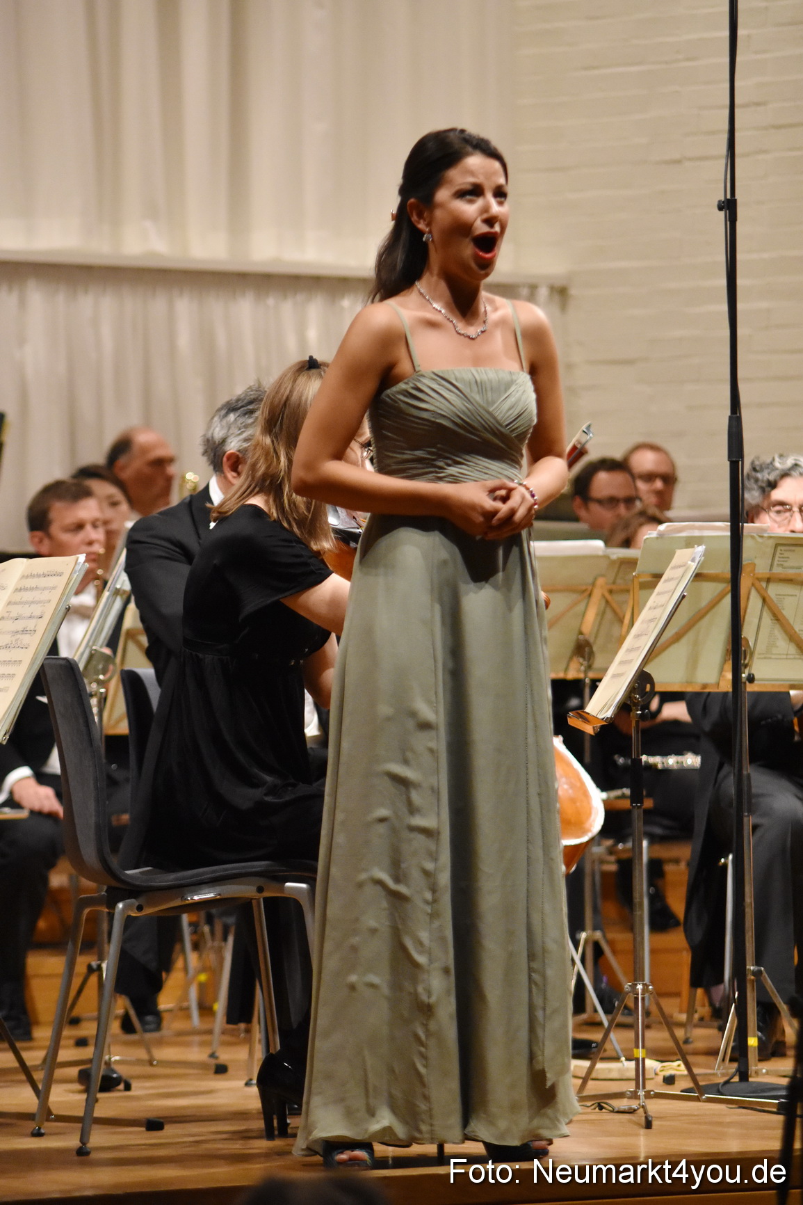 IMA Orchestergala 110715 0033