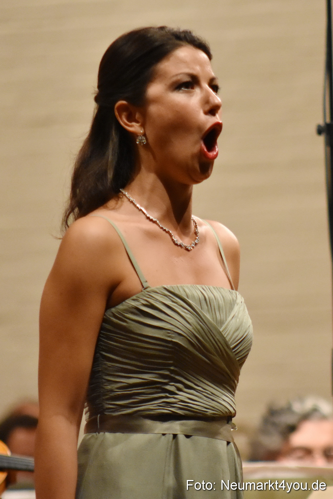 IMA Orchestergala 110715 0035