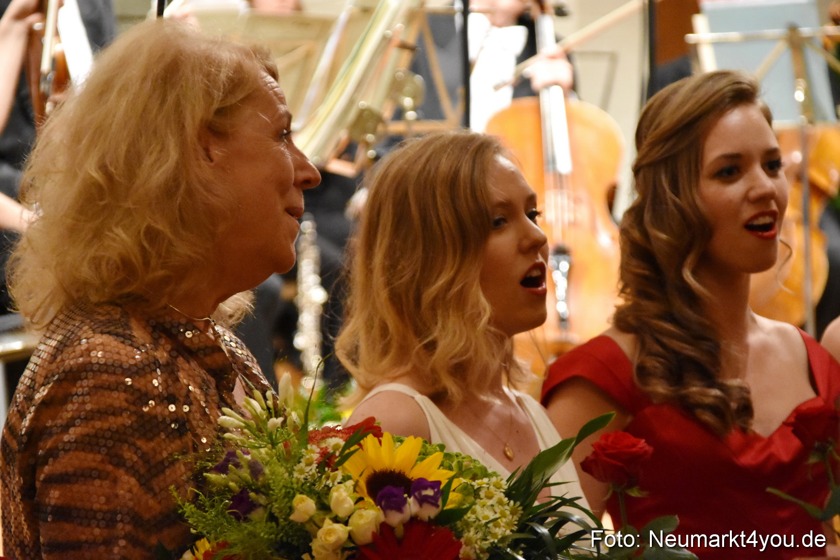 IMA Orchestergala 110715 0075