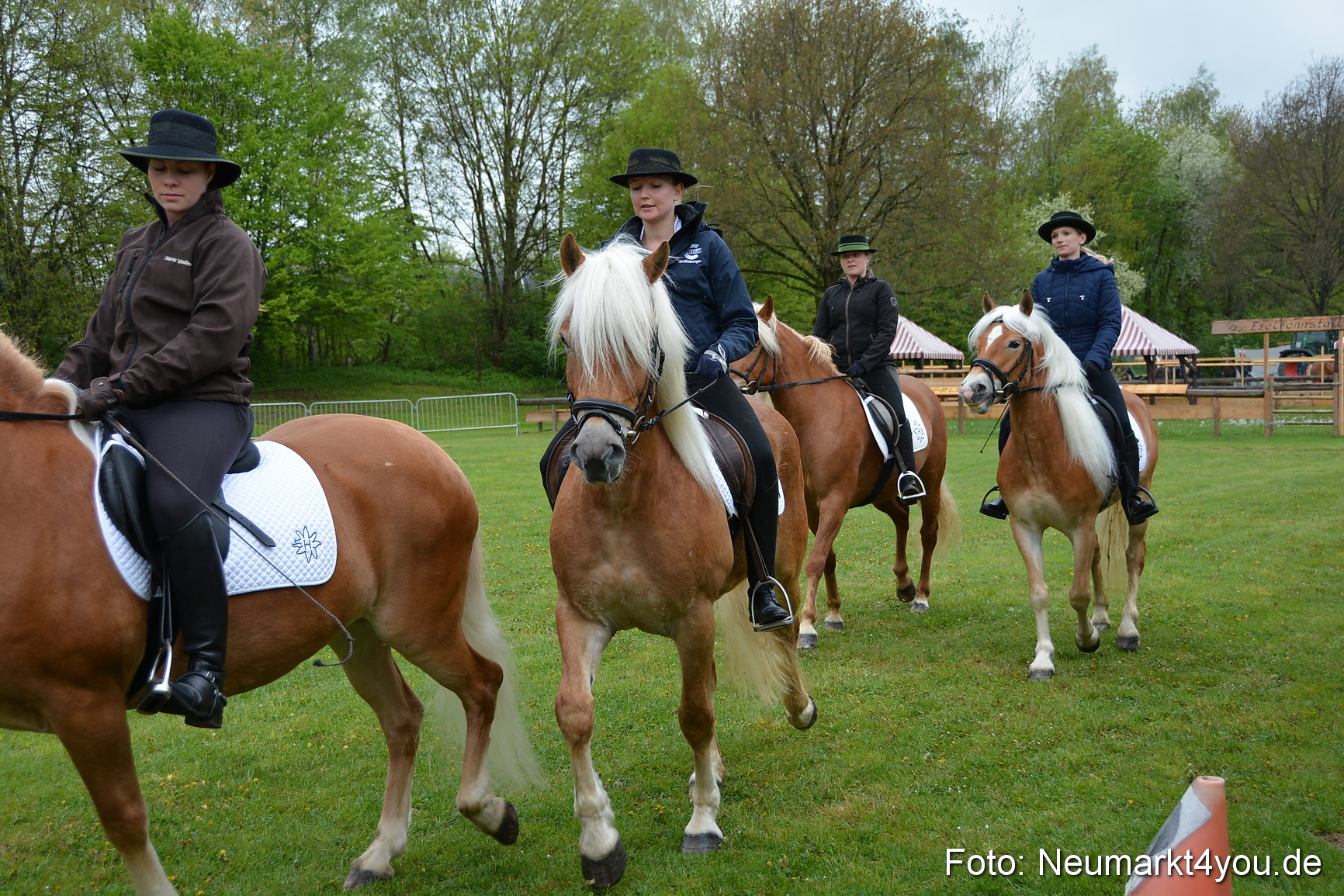 Haflingertreffen Fruehlingsfest 010515 0003