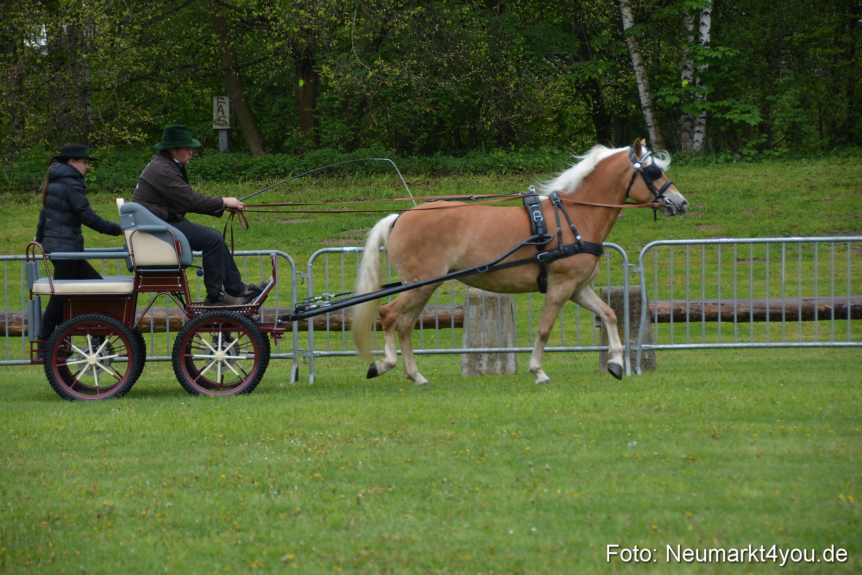 Haflingertreffen Fruehlingsfest 010515 0004