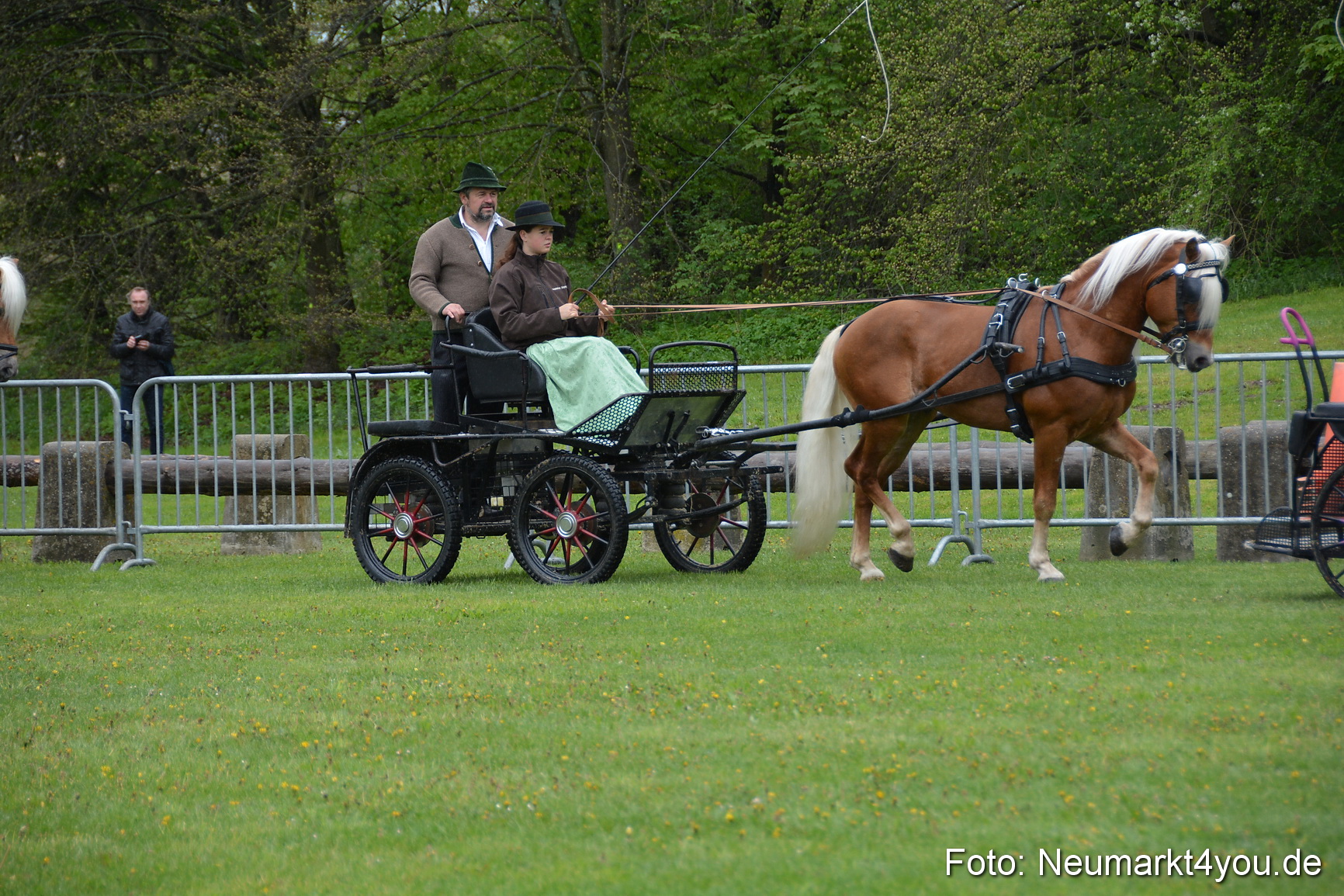 Haflingertreffen Fruehlingsfest 010515 0005