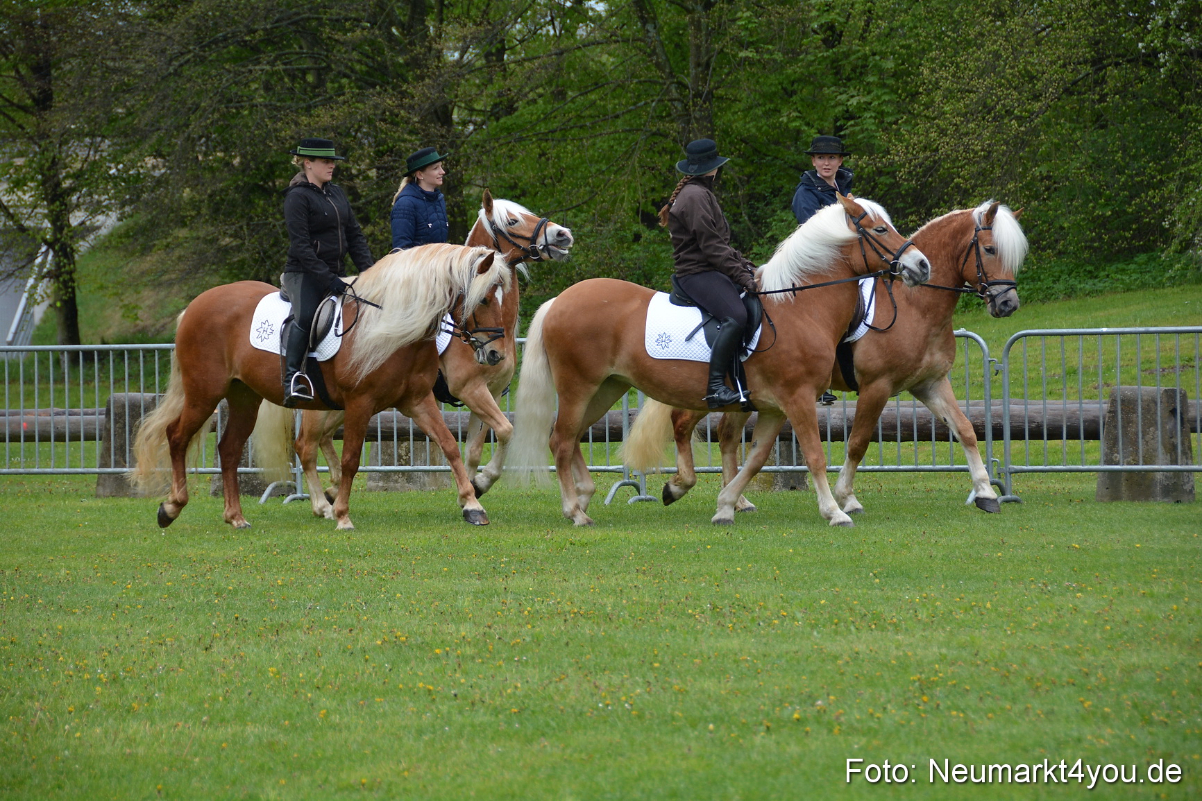 Haflingertreffen Fruehlingsfest 010515 0006