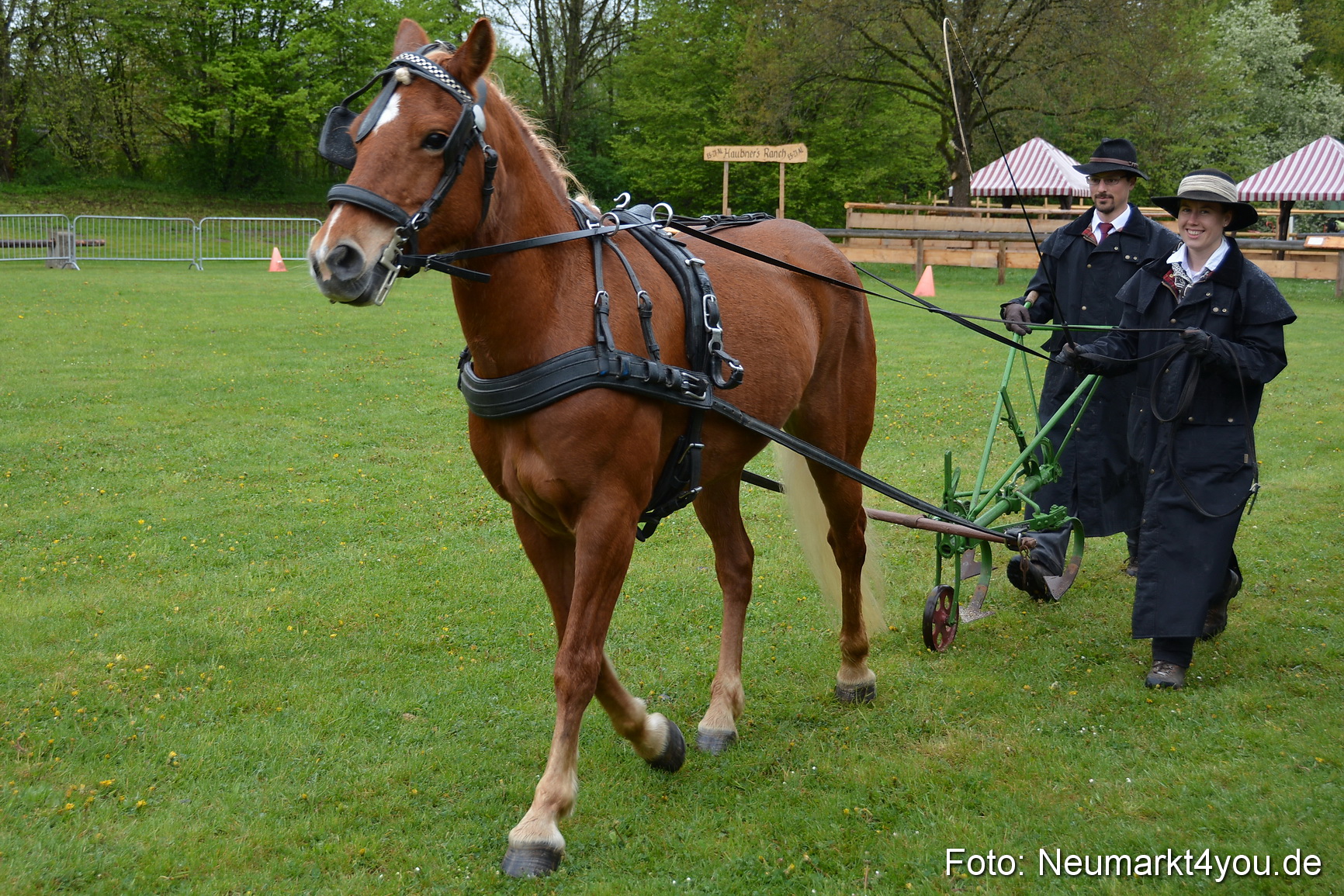 Haflingertreffen Fruehlingsfest 010515 0023