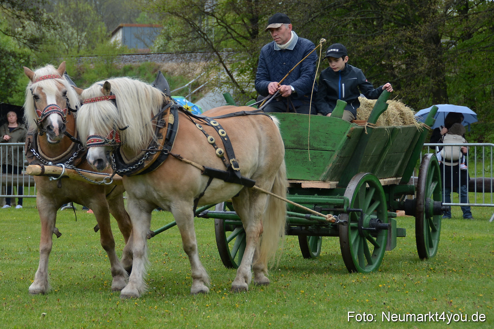 Haflingertreffen Fruehlingsfest 010515 0037