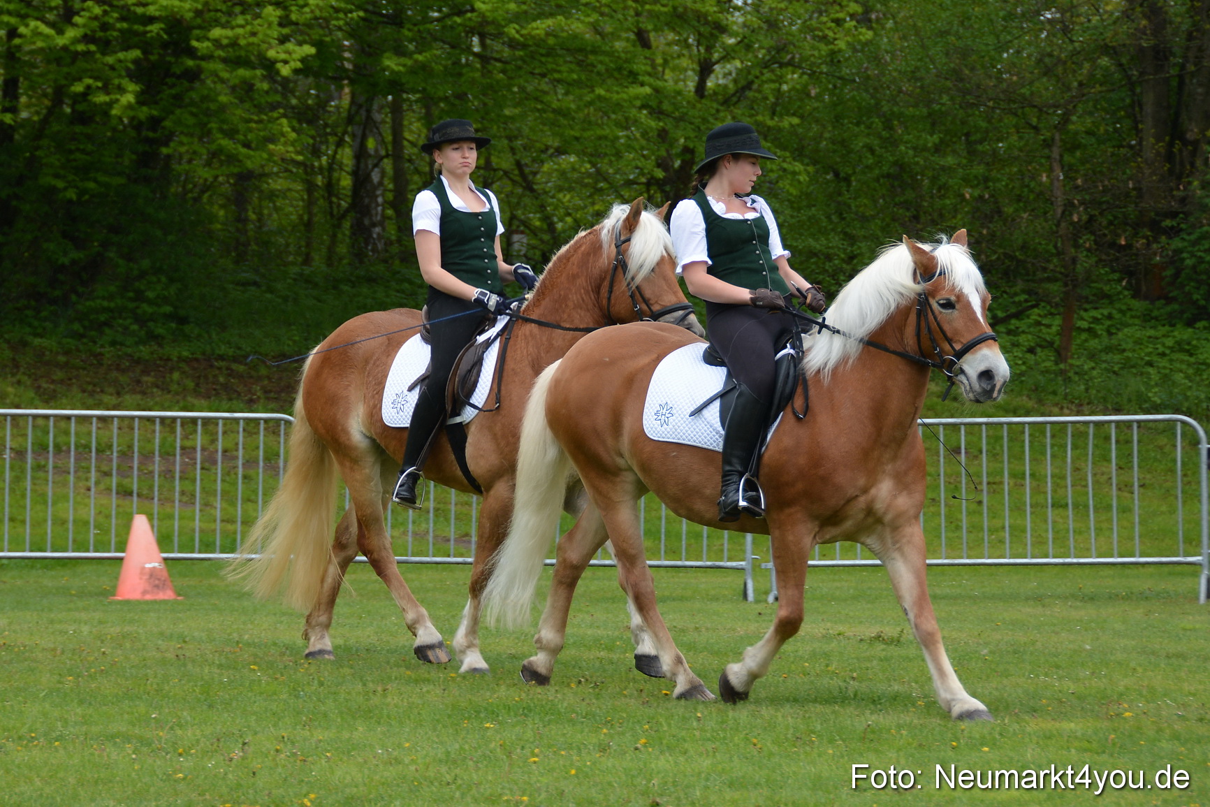 Haflingertreffen Fruehlingsfest 010515 0043