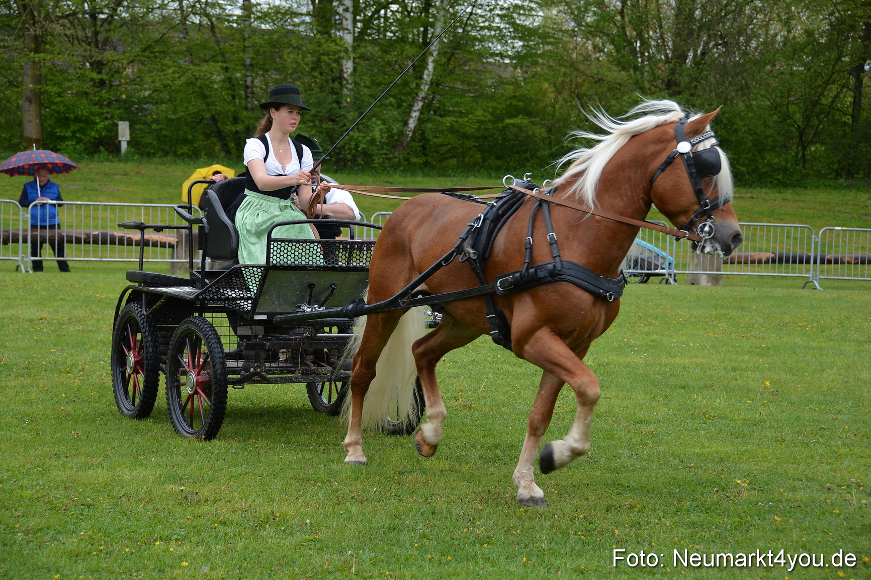 Haflingertreffen Fruehlingsfest 010515 0045