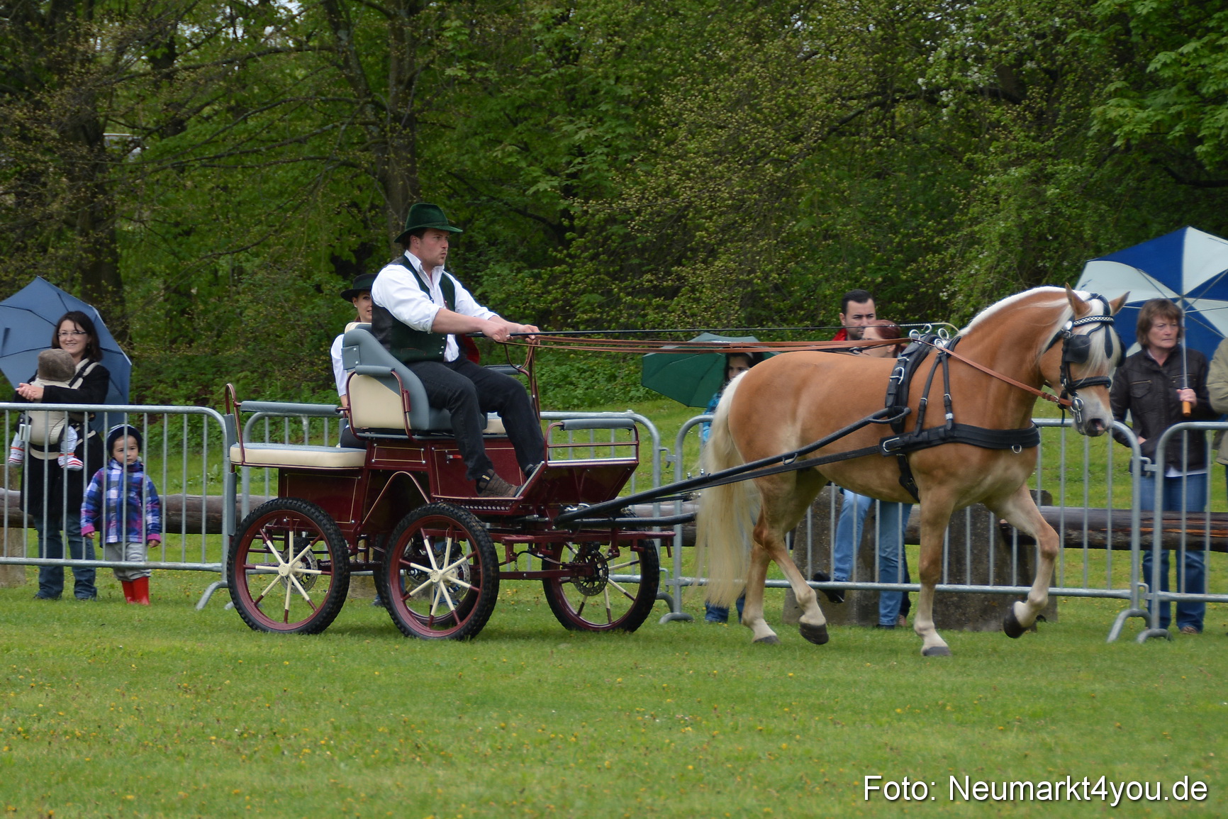 Haflingertreffen Fruehlingsfest 010515 0048