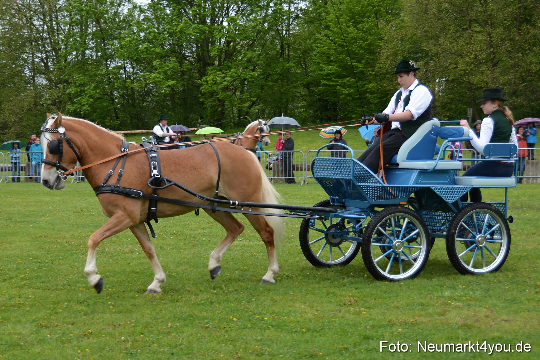 Haflingertreffen Fruehlingsfest 010515 0049