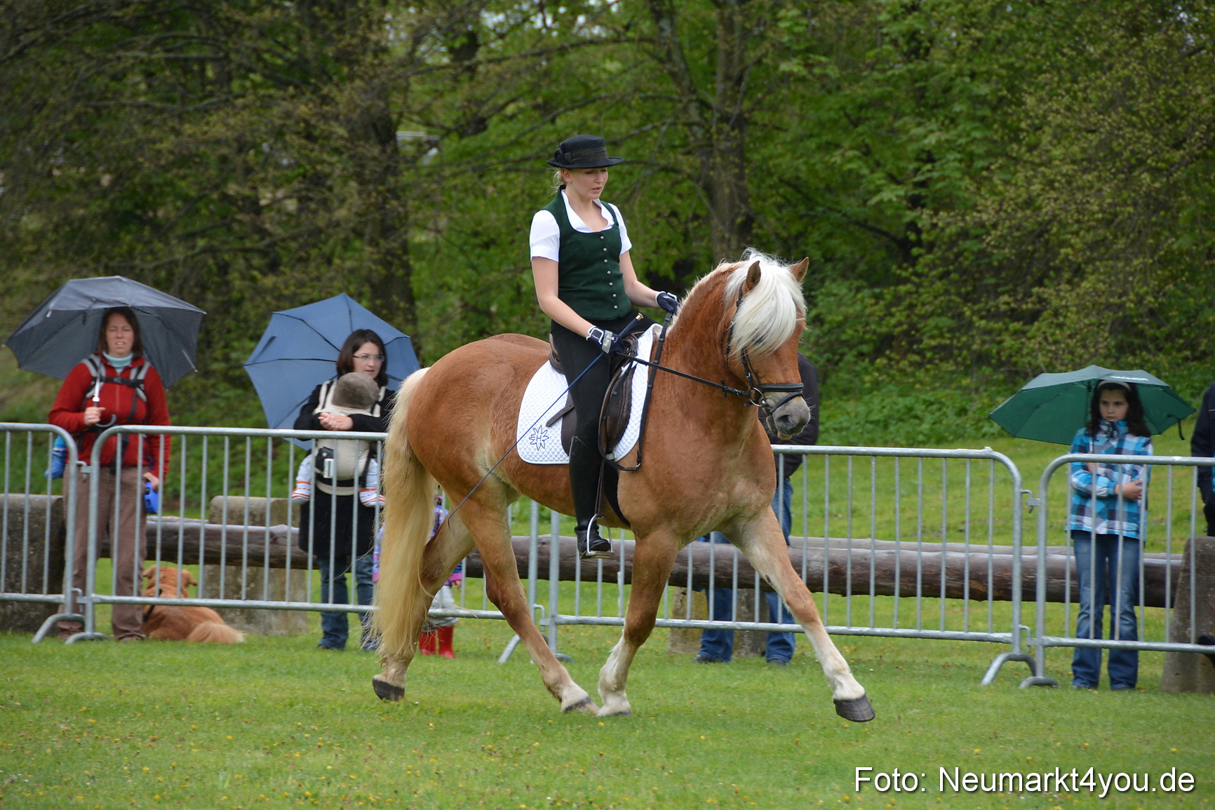 Haflingertreffen Fruehlingsfest 010515 0052