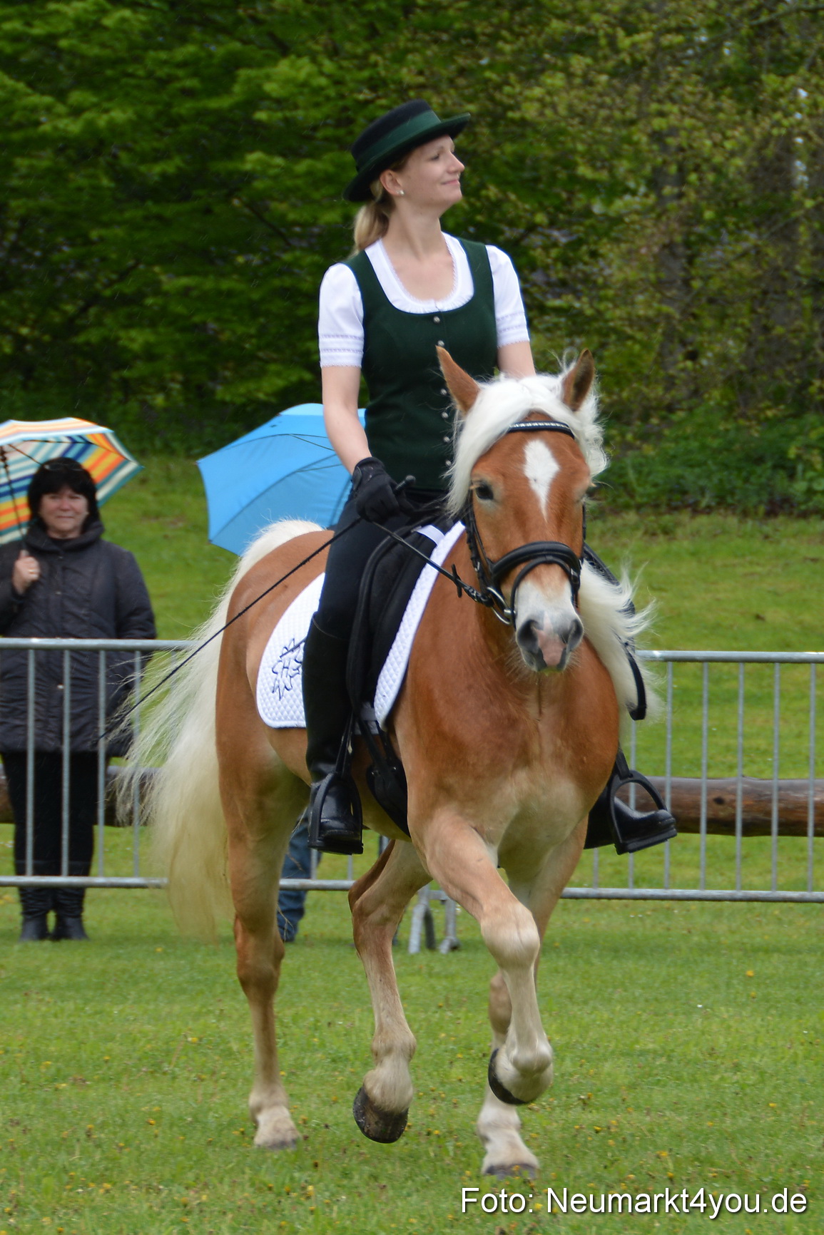 Haflingertreffen Fruehlingsfest 010515 0055