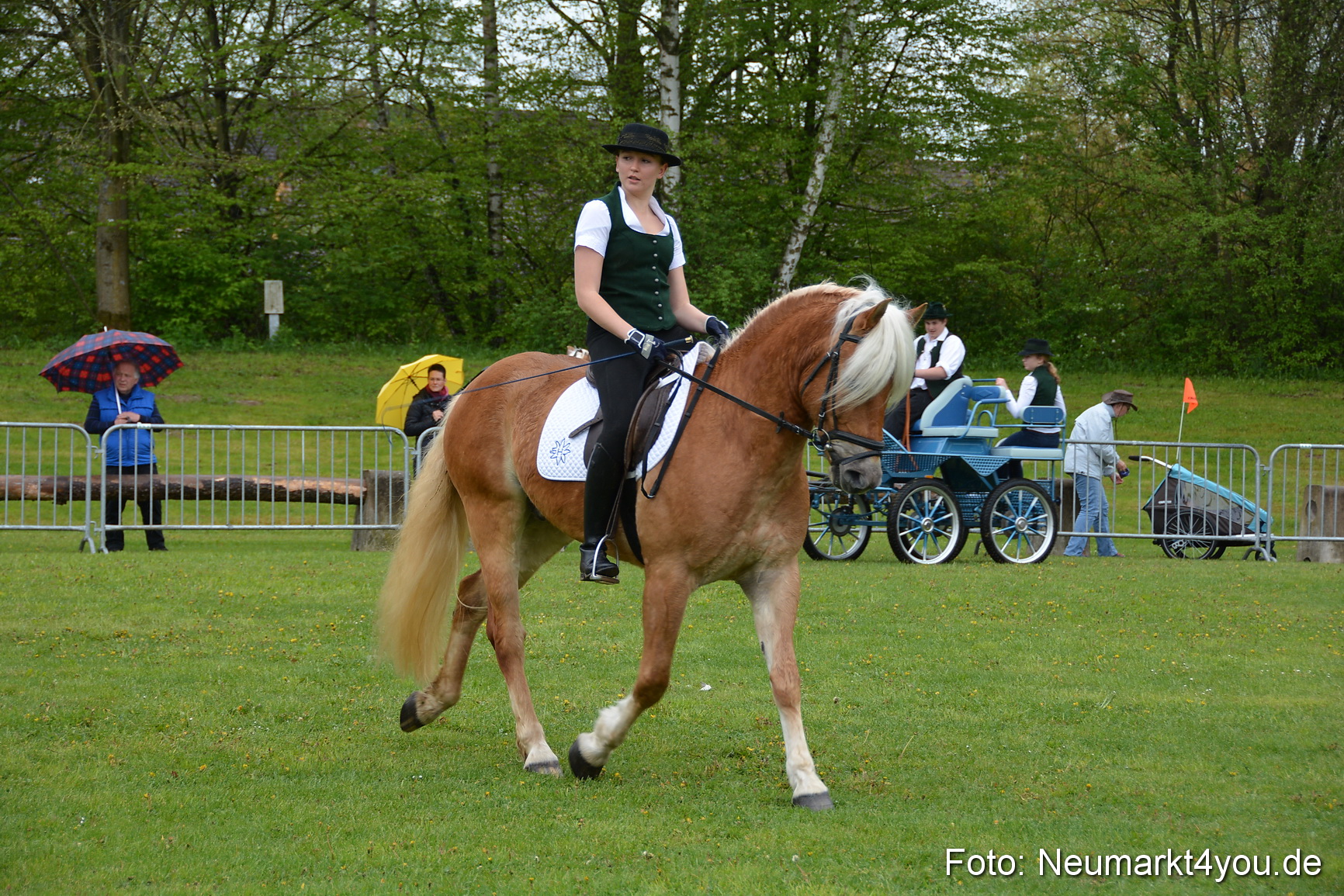 Haflingertreffen Fruehlingsfest 010515 0056