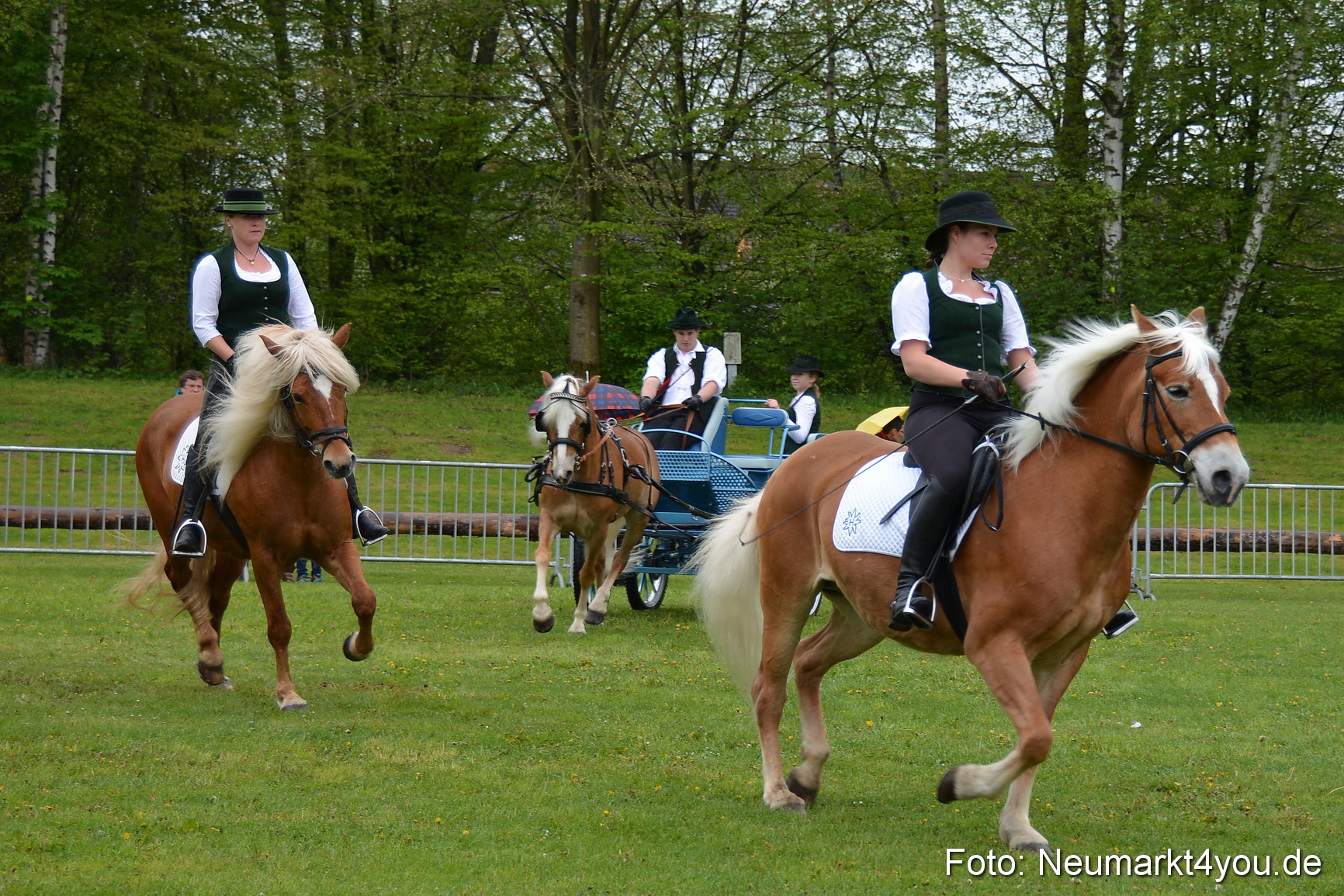 Haflingertreffen Fruehlingsfest 010515 0058