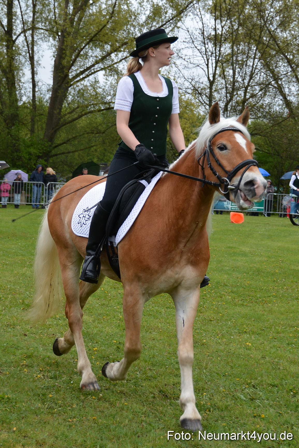 Haflingertreffen Fruehlingsfest 010515 0062