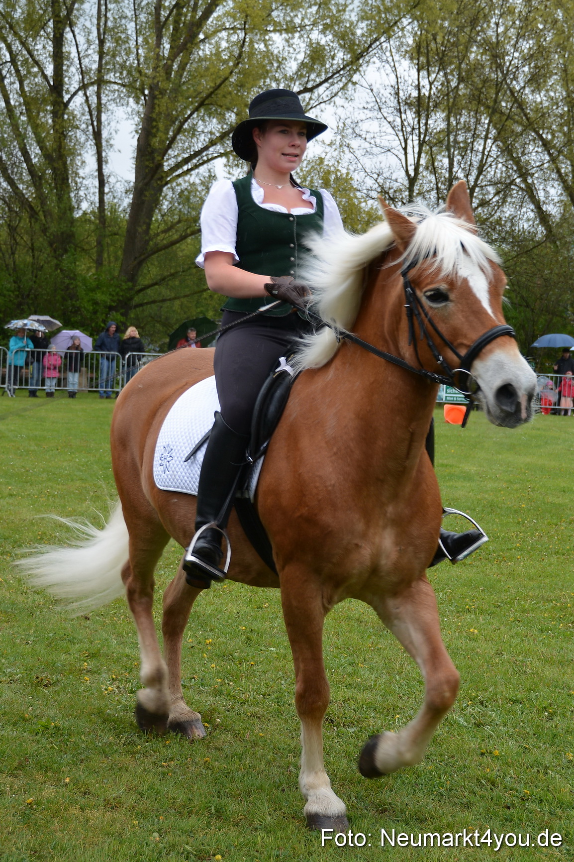 Haflingertreffen Fruehlingsfest 010515 0063