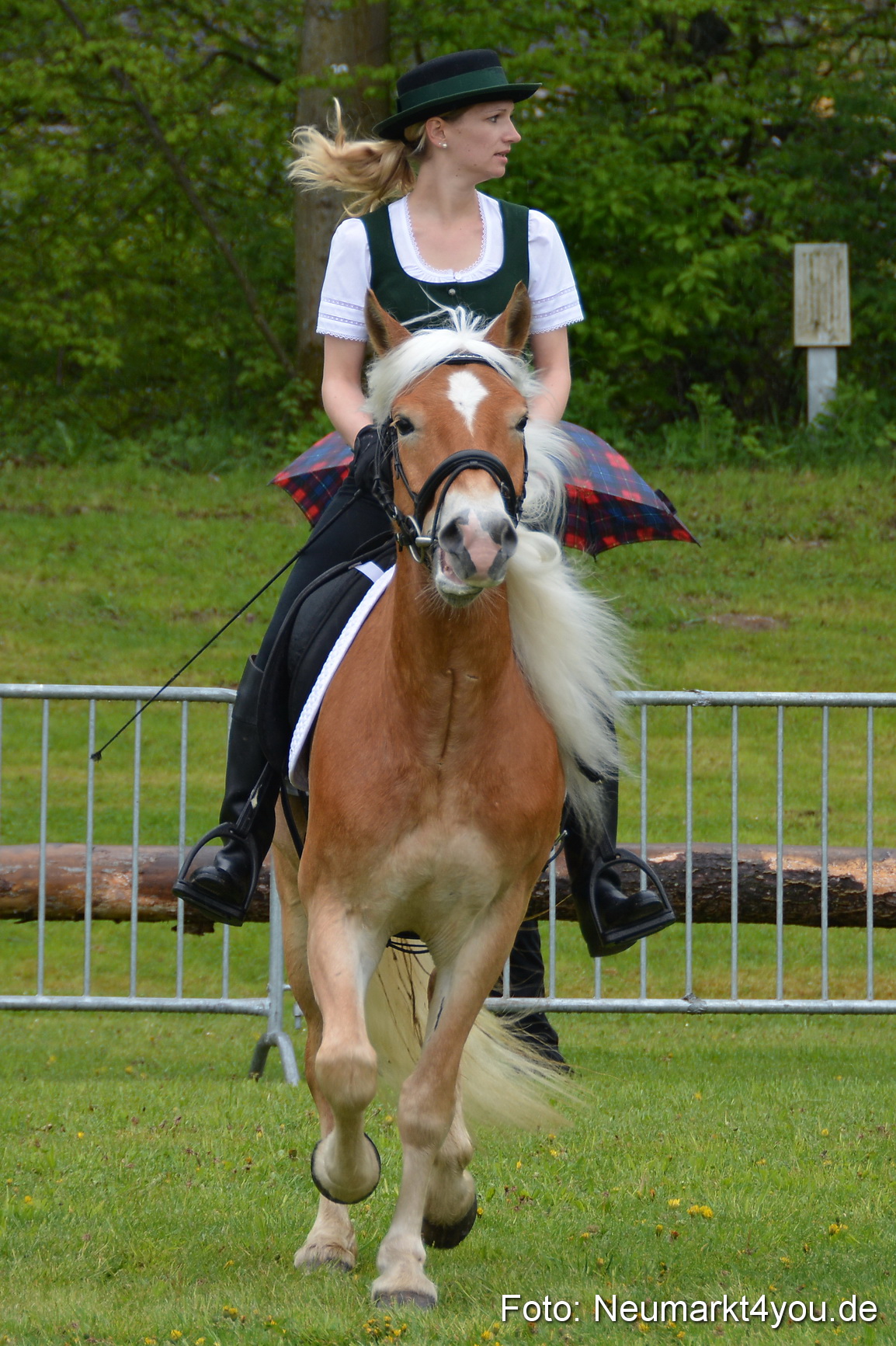 Haflingertreffen Fruehlingsfest 010515 0064