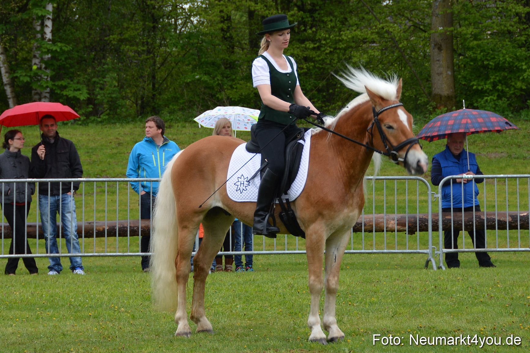 Haflingertreffen Fruehlingsfest 010515 0066