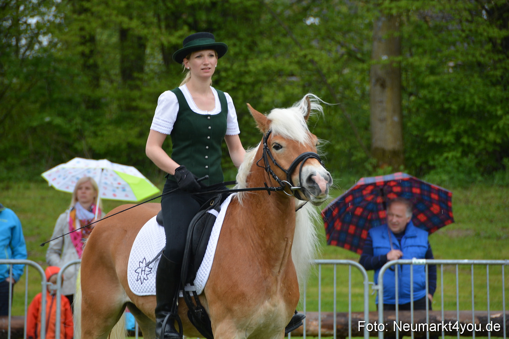 Haflingertreffen Fruehlingsfest 010515 0068