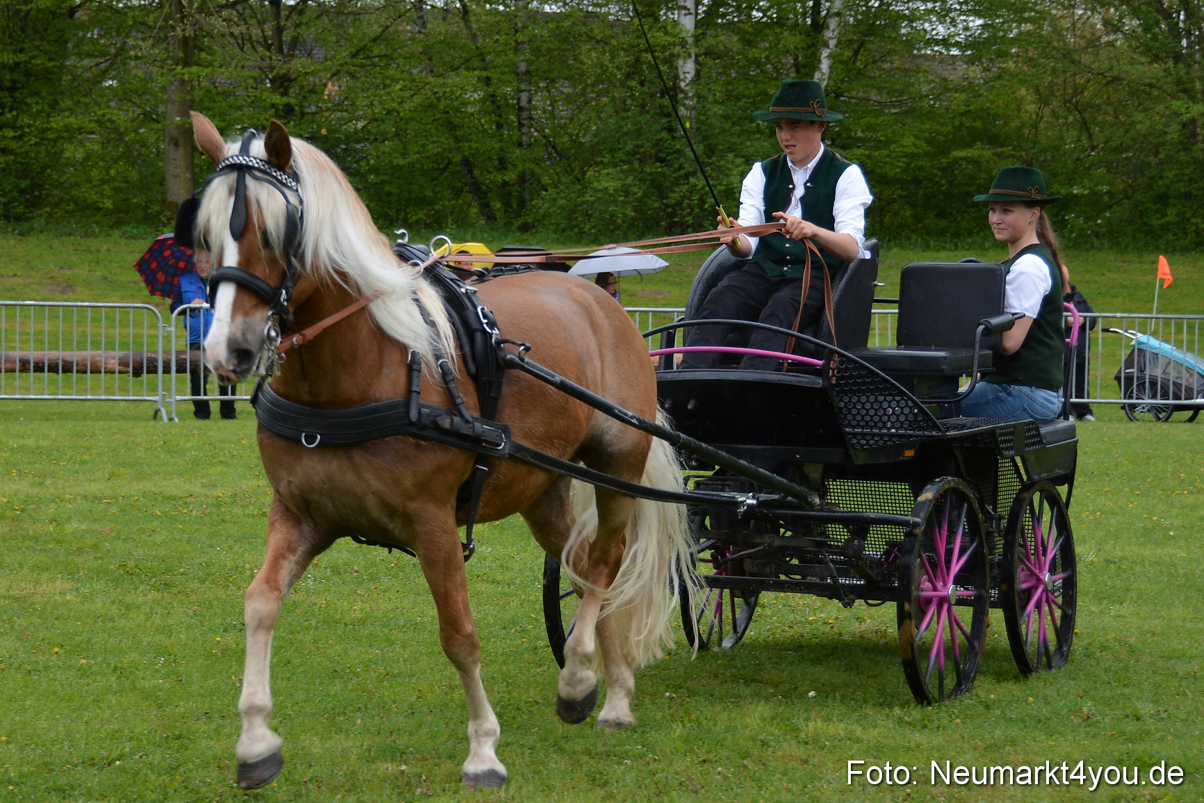 Haflingertreffen Fruehlingsfest 010515 0070